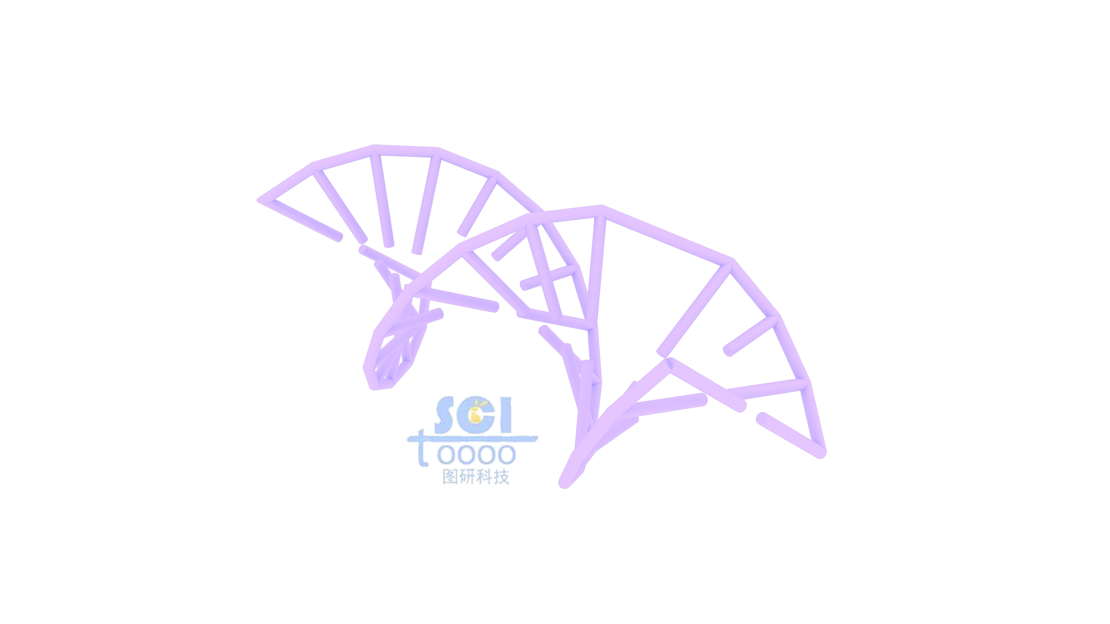 DNA結(jié)構(gòu)