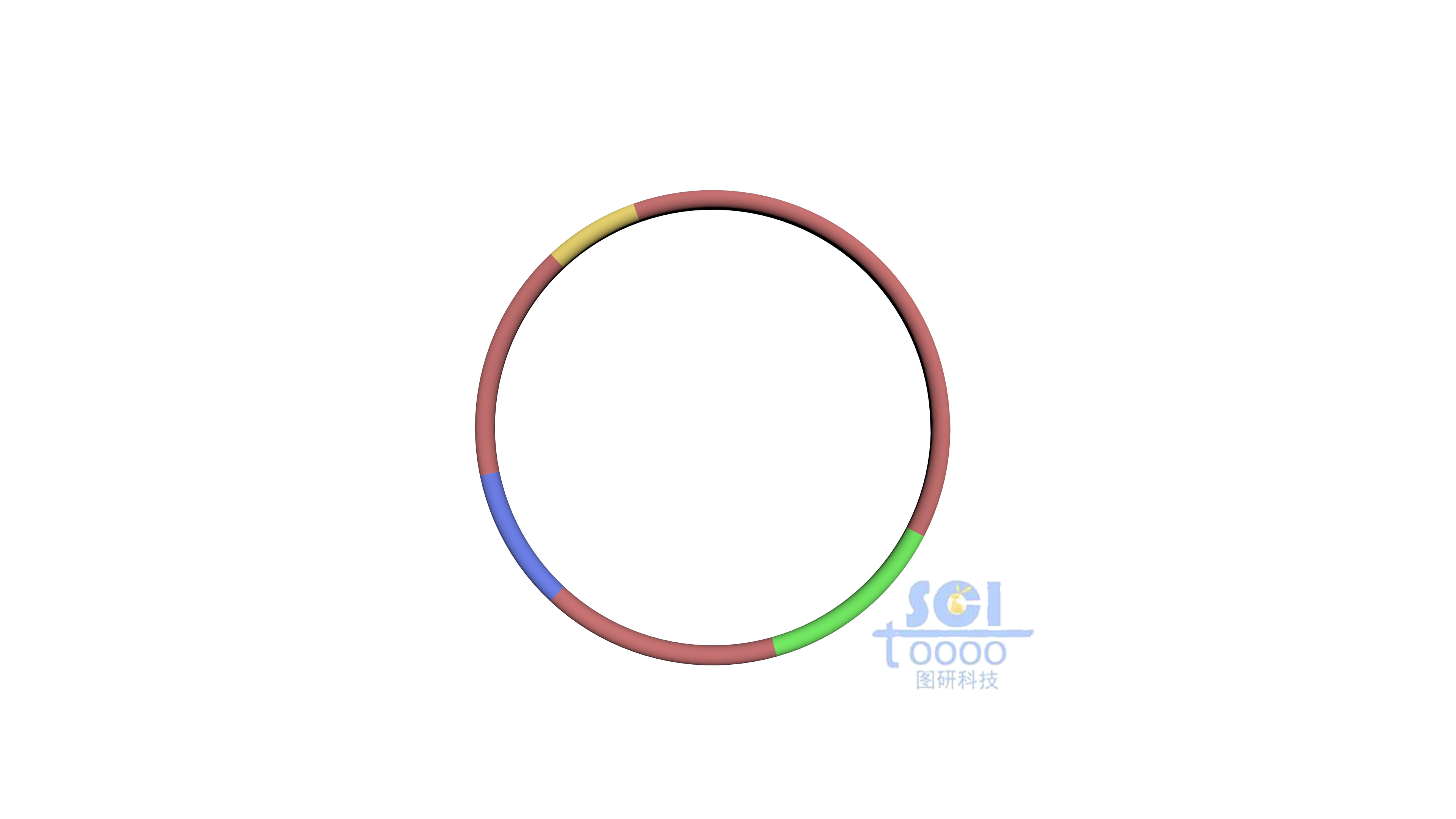 質(zhì)粒環(huán)