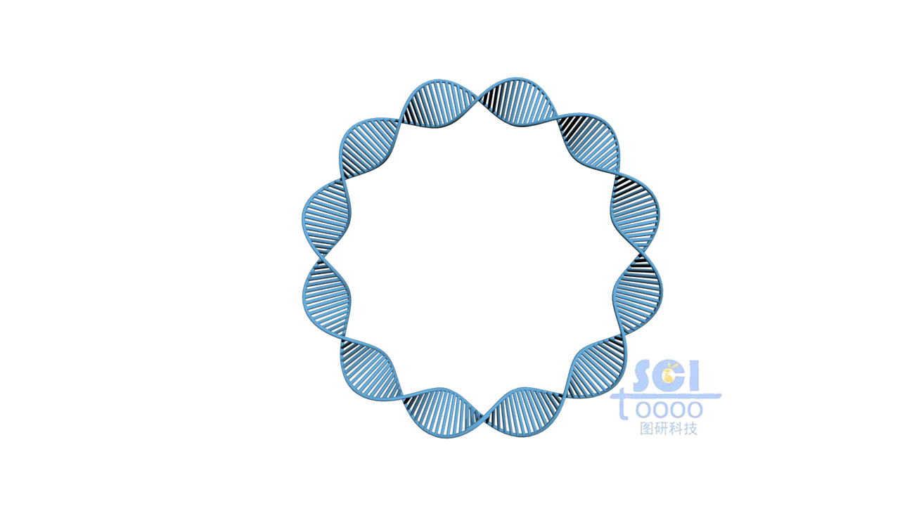 質(zhì)粒環(huán)