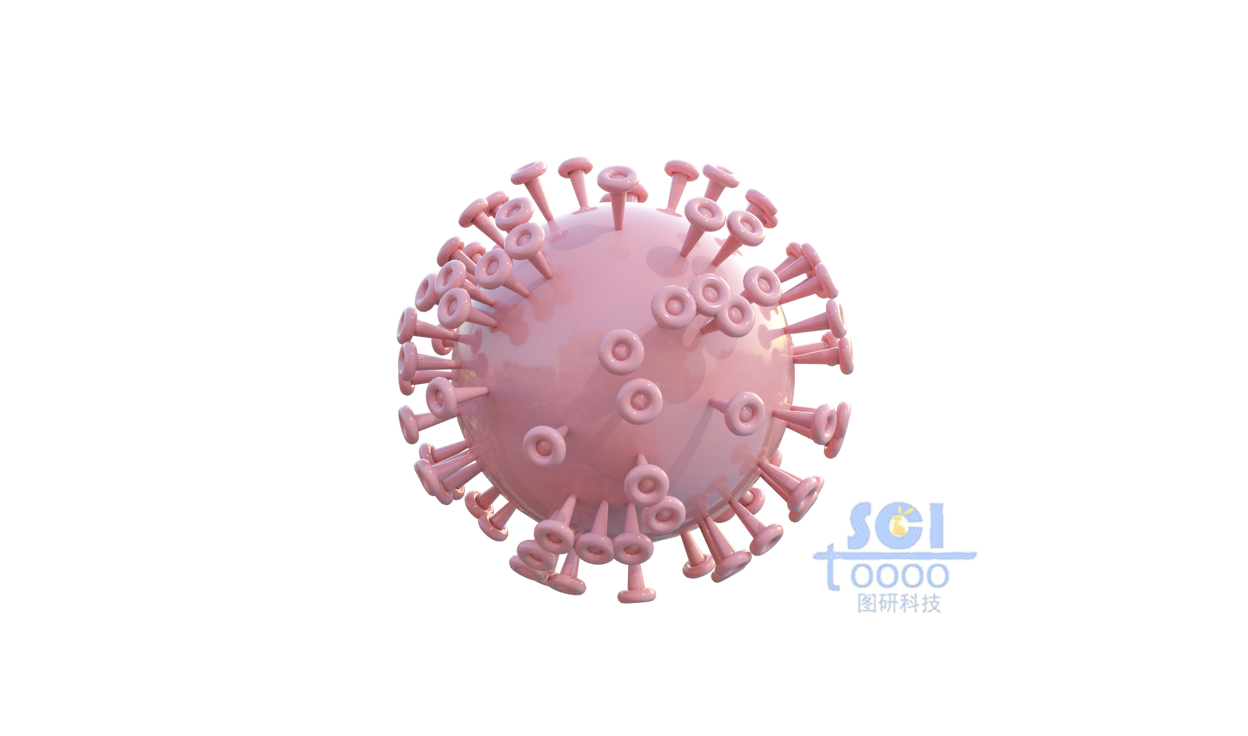 病毒結(jié)構(gòu)