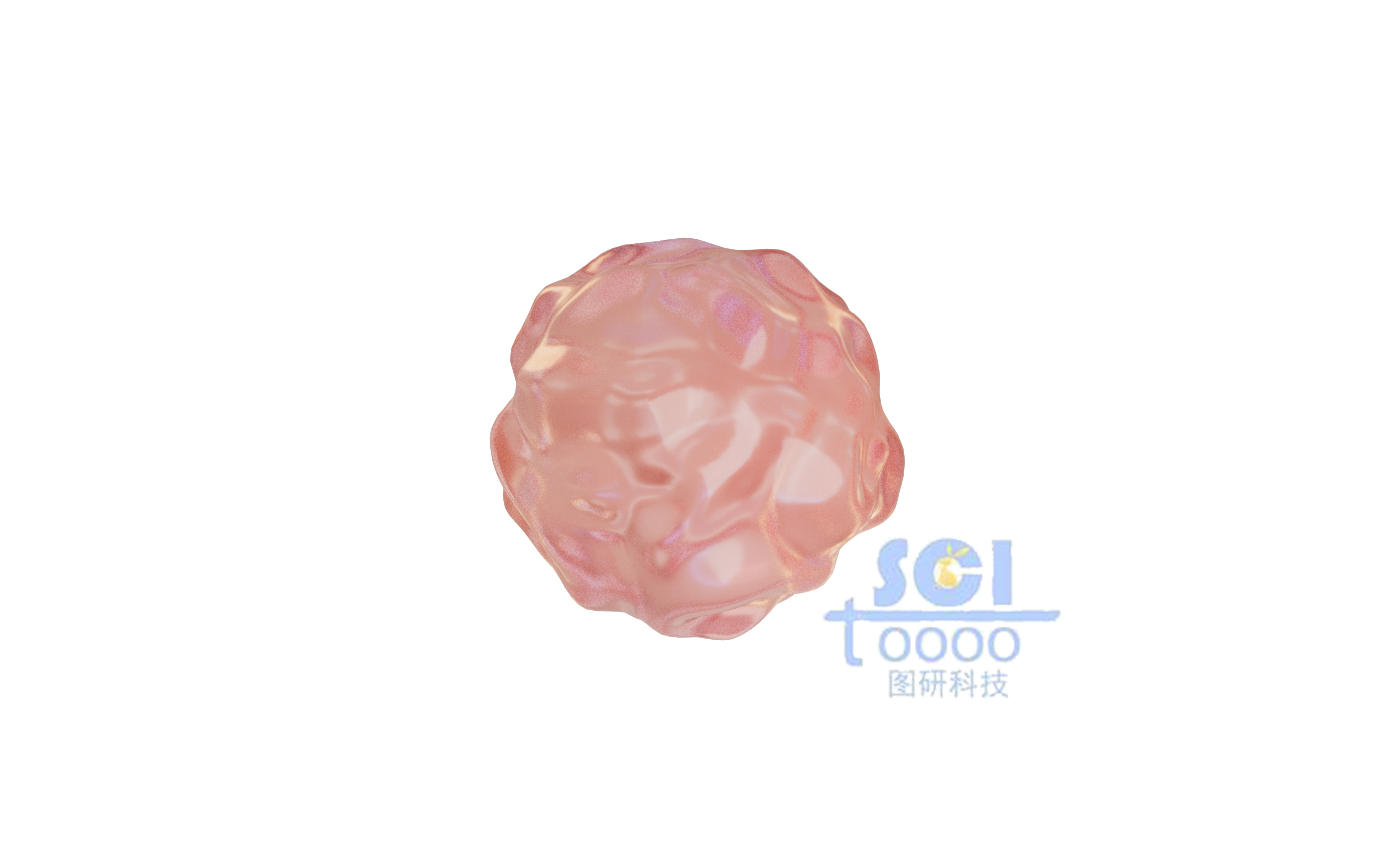 單個(gè)細(xì)胞結(jié)構(gòu)