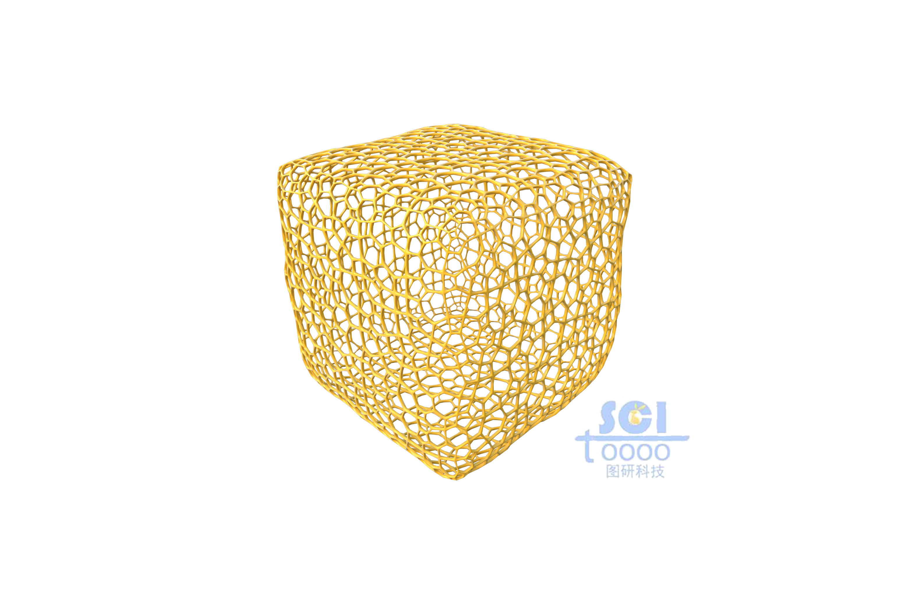 不規(guī)則多孔的骨架結(jié)構(gòu)