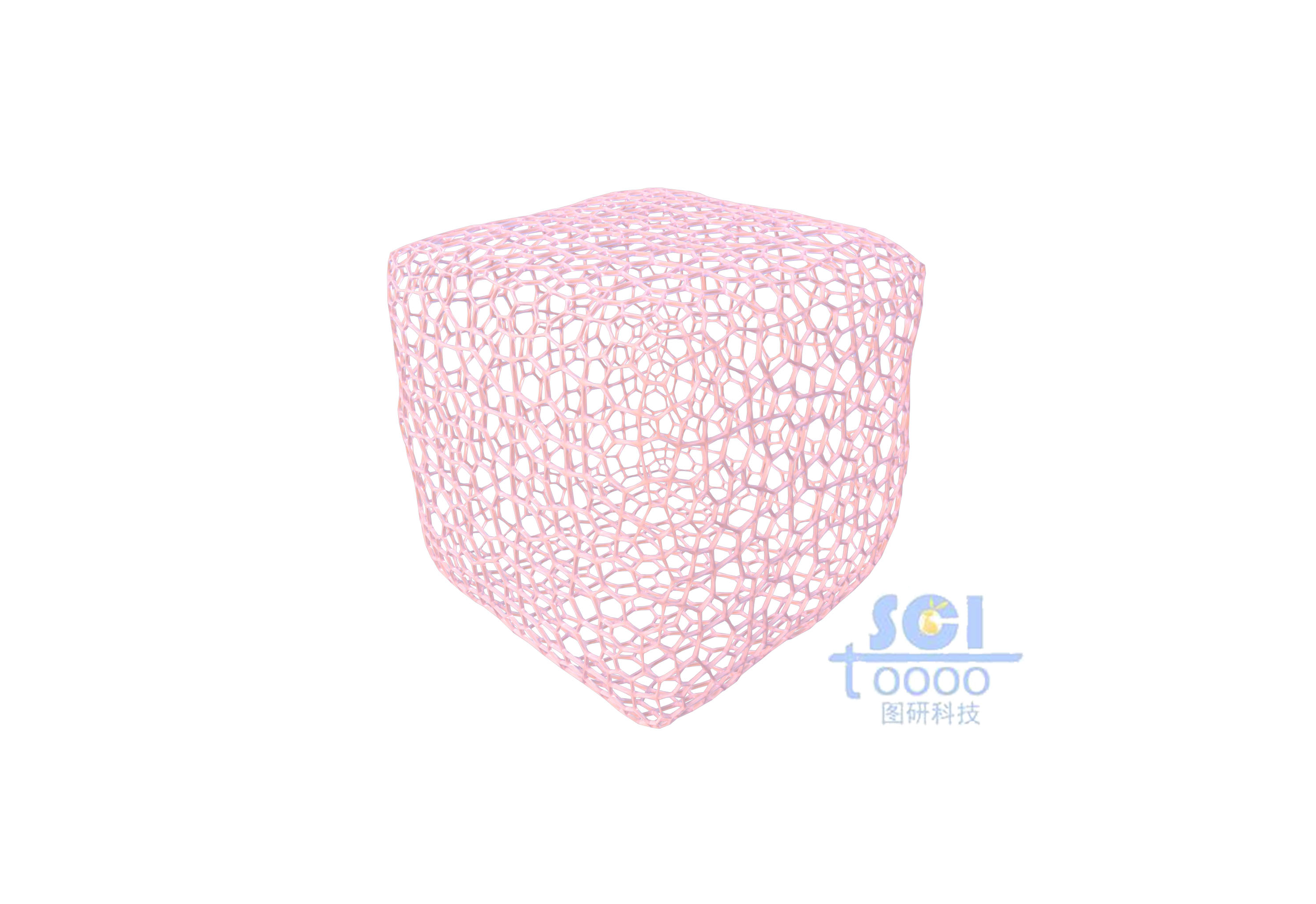 不規(guī)則多孔的骨架結(jié)構(gòu)