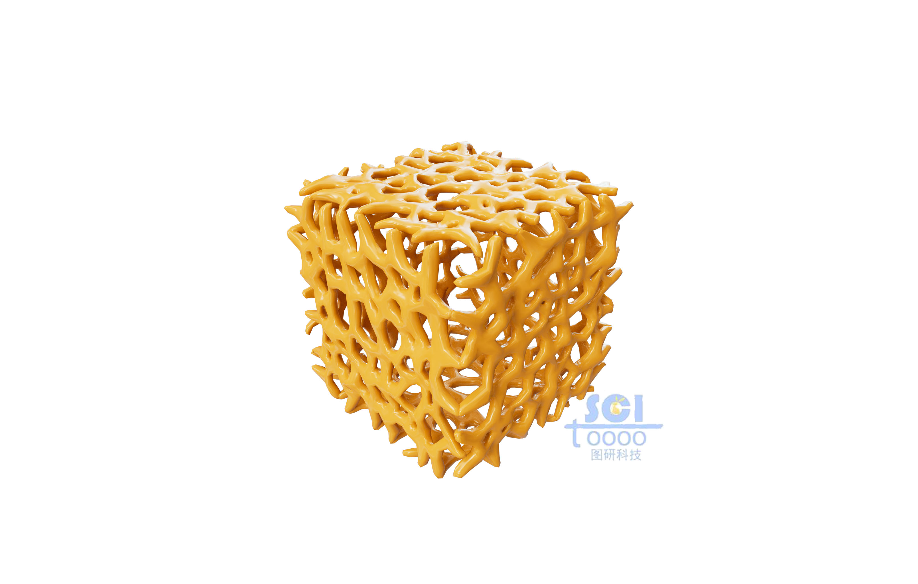 不規(guī)則多孔的骨架結(jié)構(gòu)