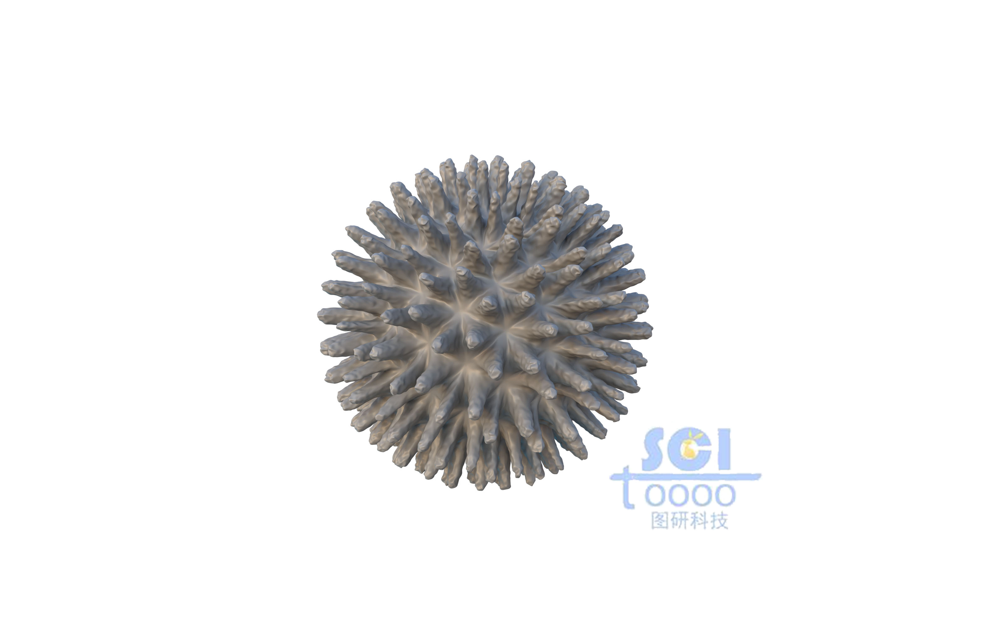 病毒結(jié)構(gòu)