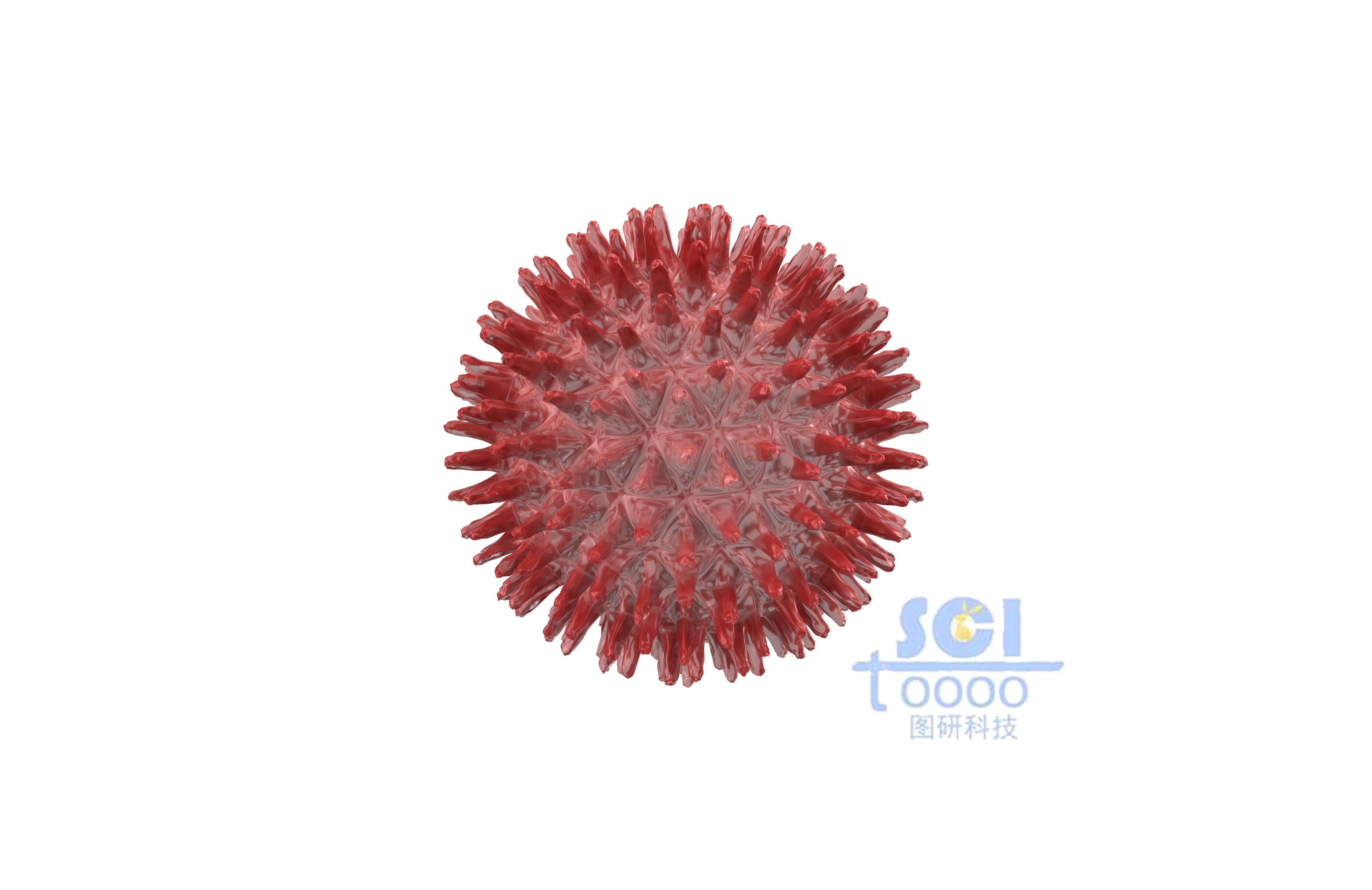 病毒結(jié)構(gòu)