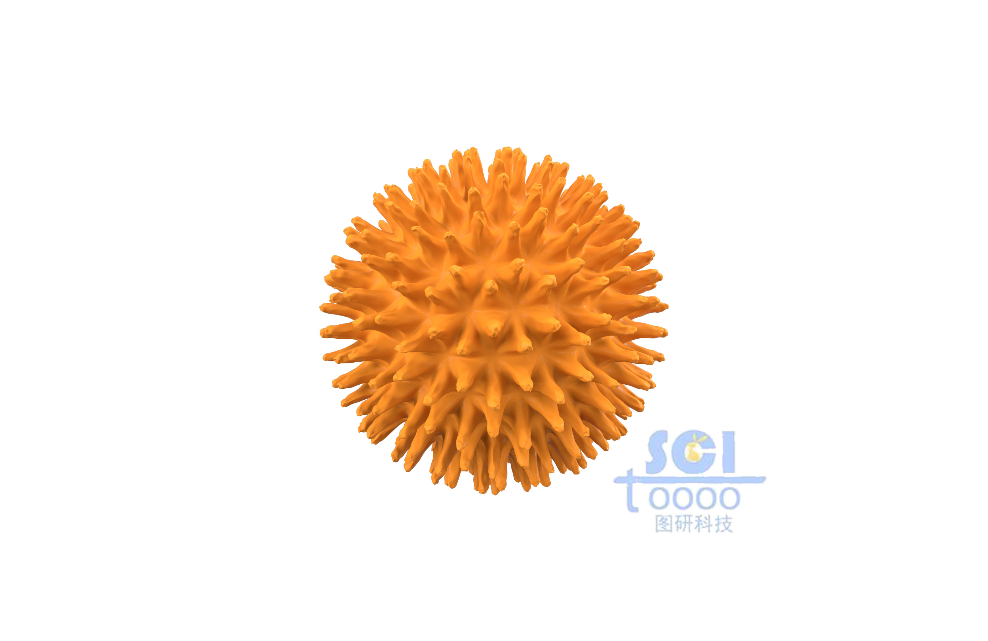 病毒結(jié)構(gòu)