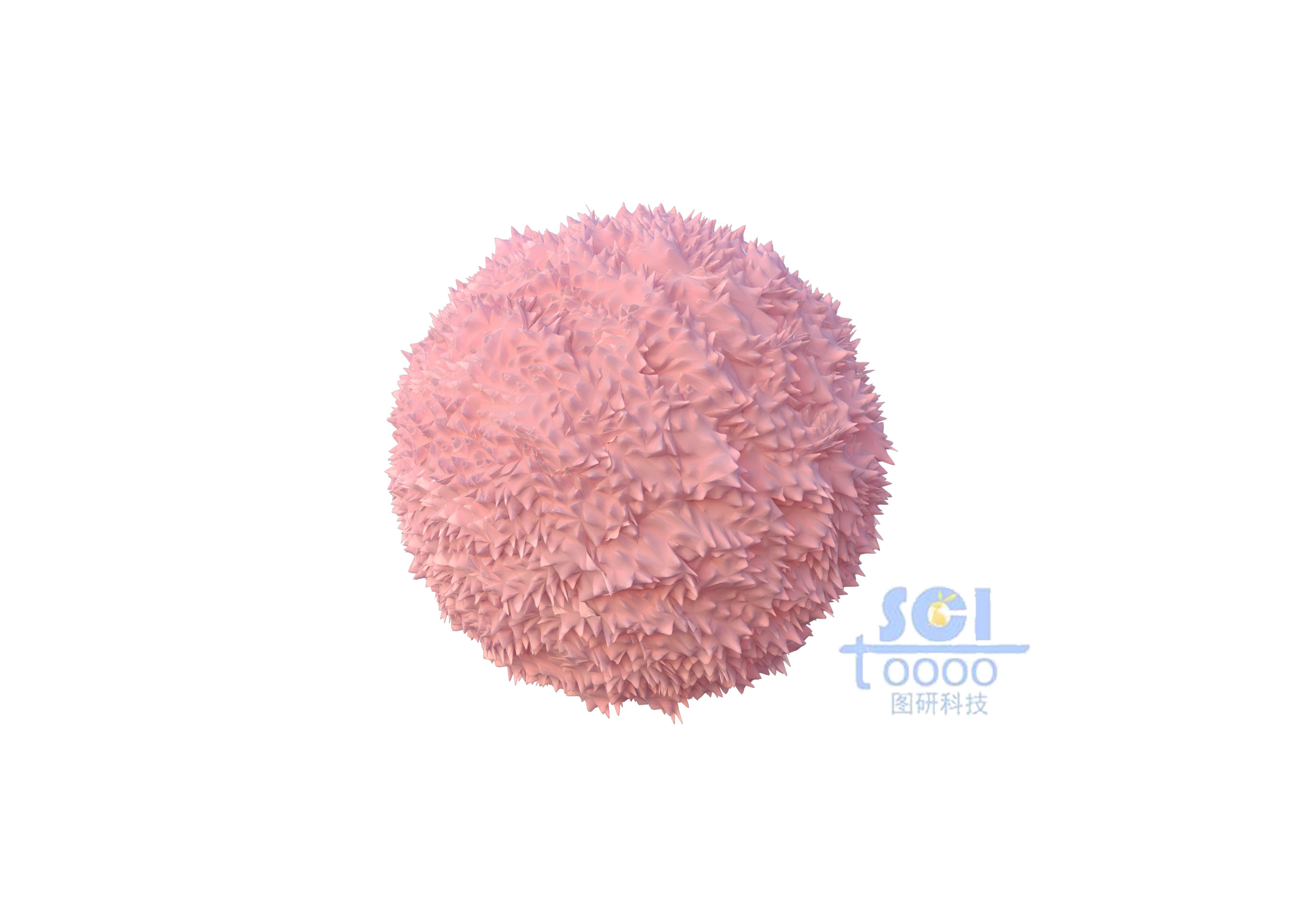 表面凹凸不平的巨噬細胞