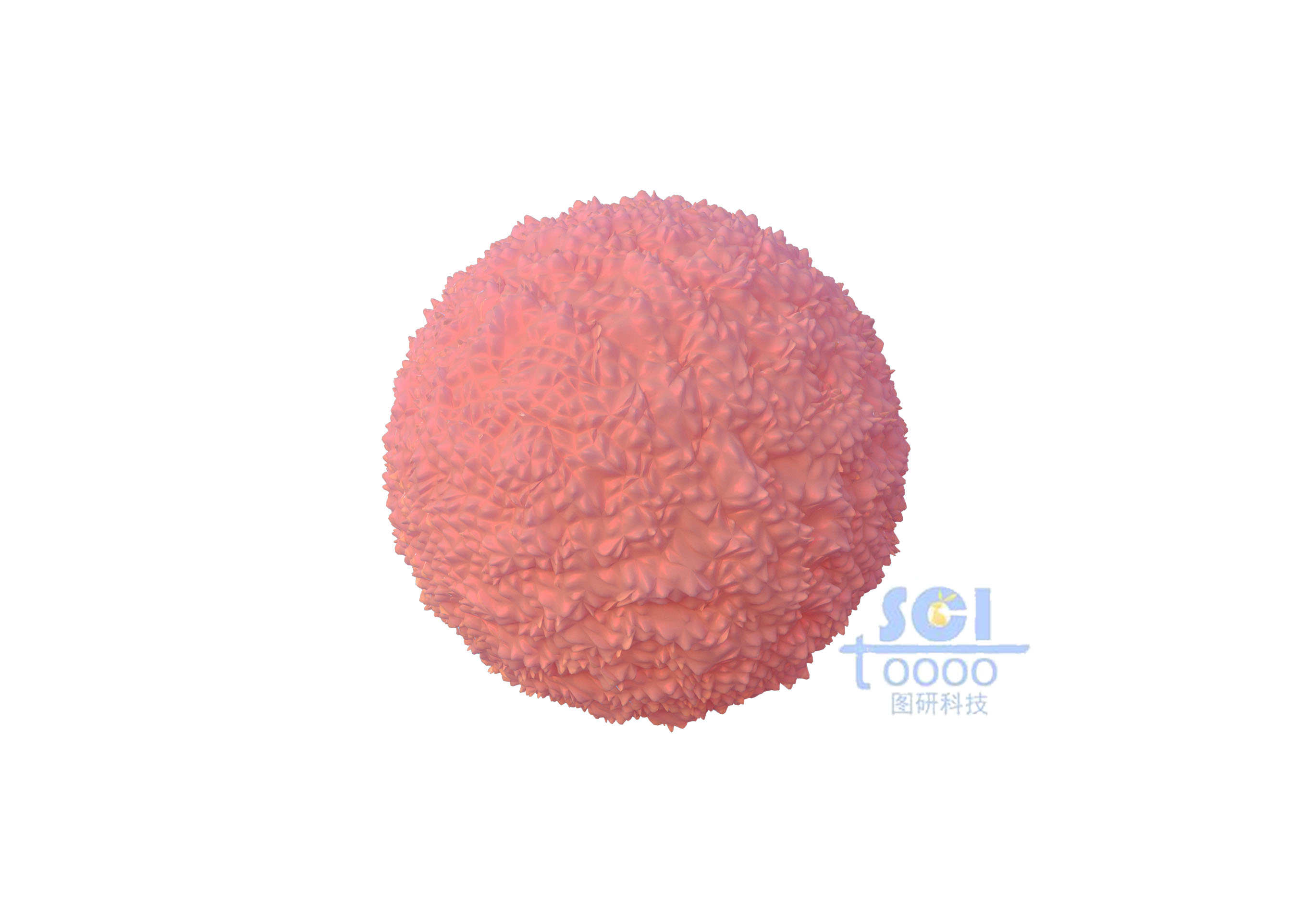 表面凹凸不平的巨噬細胞