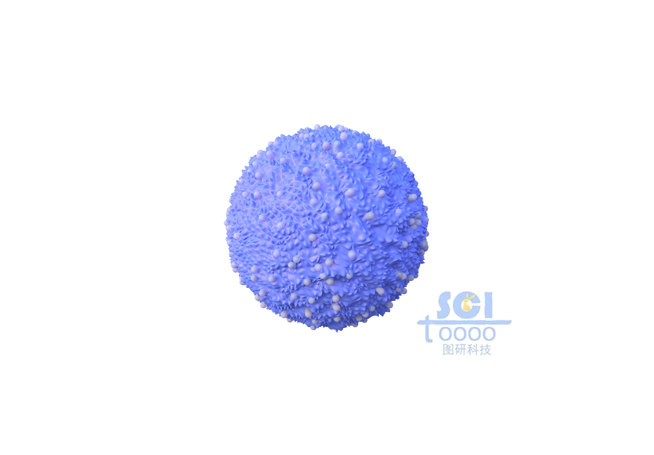 表面凹凸不平的巨噬細胞