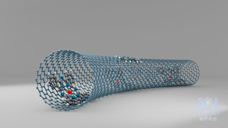 管內(nèi)壁外壁帶催化結(jié)構(gòu)的碳納米管