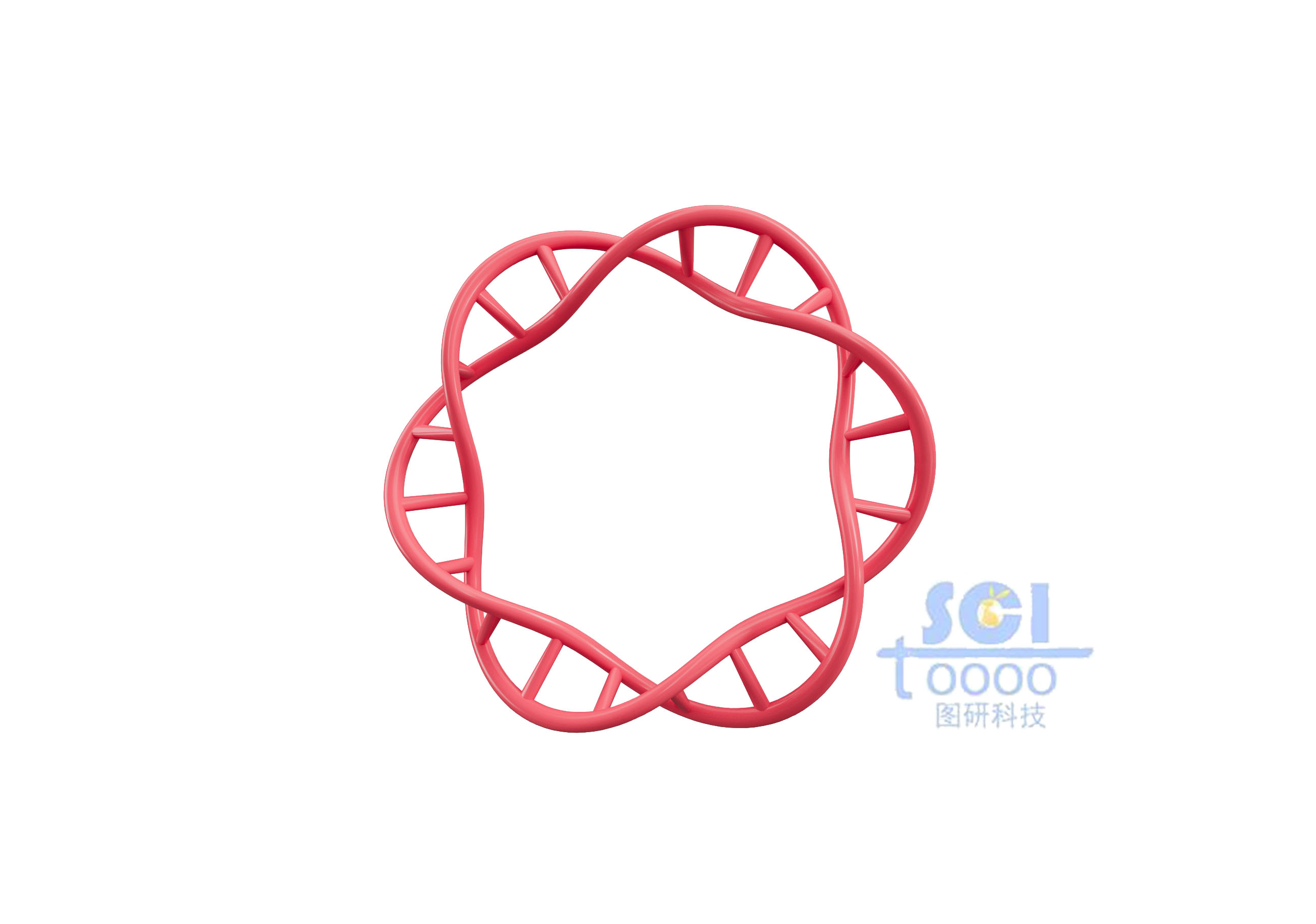 質(zhì)粒環(huán)