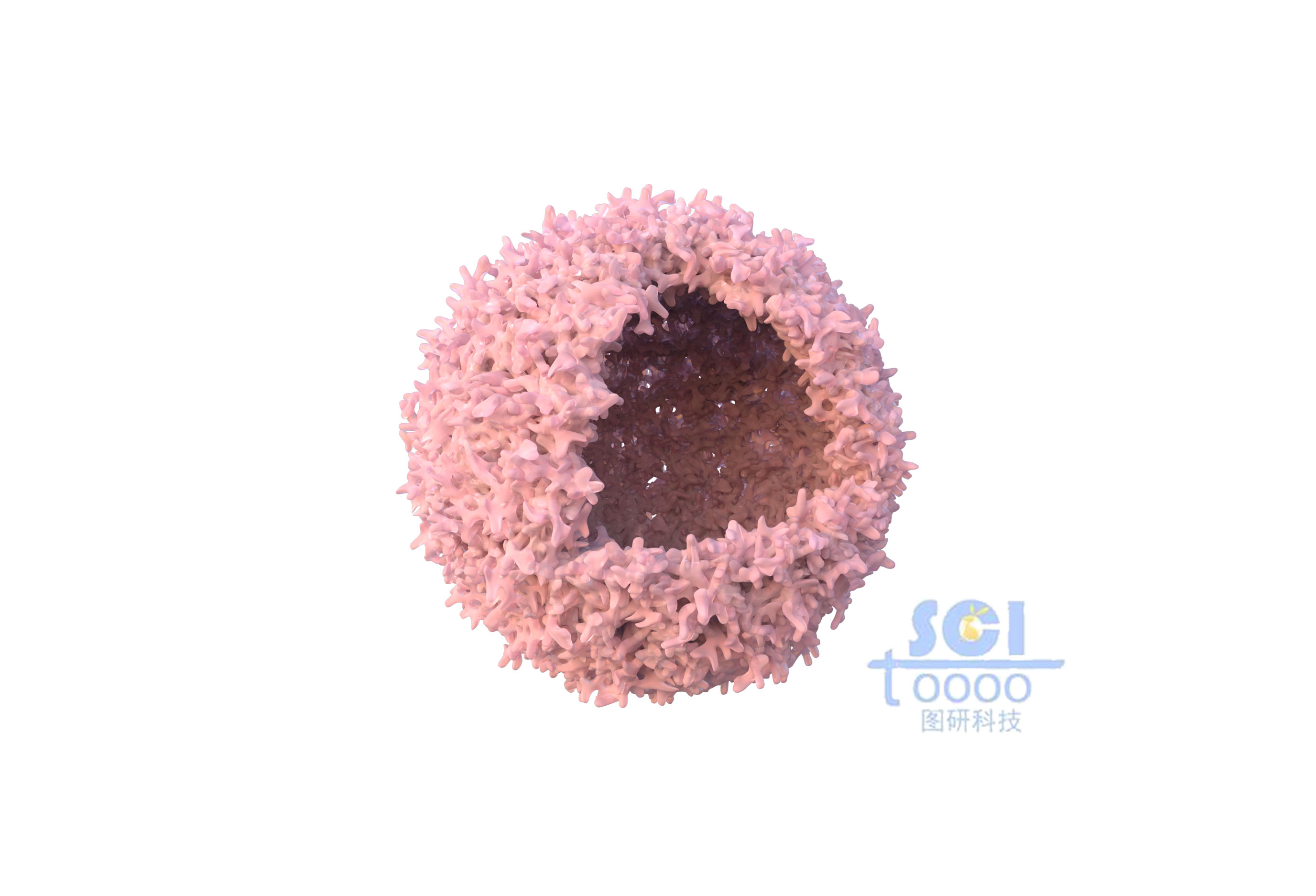 八分之一切口泡沫銅結(jié)構(gòu)的納米球