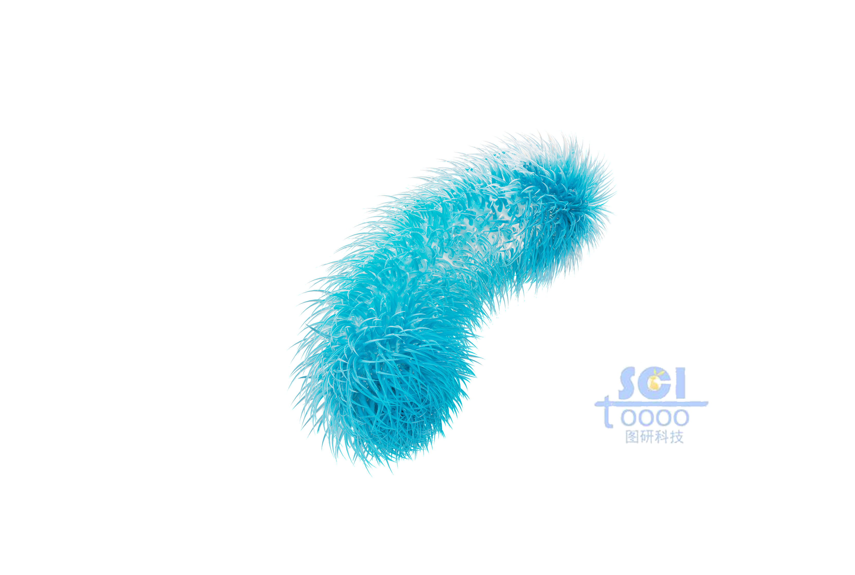 帶毛的細(xì)菌