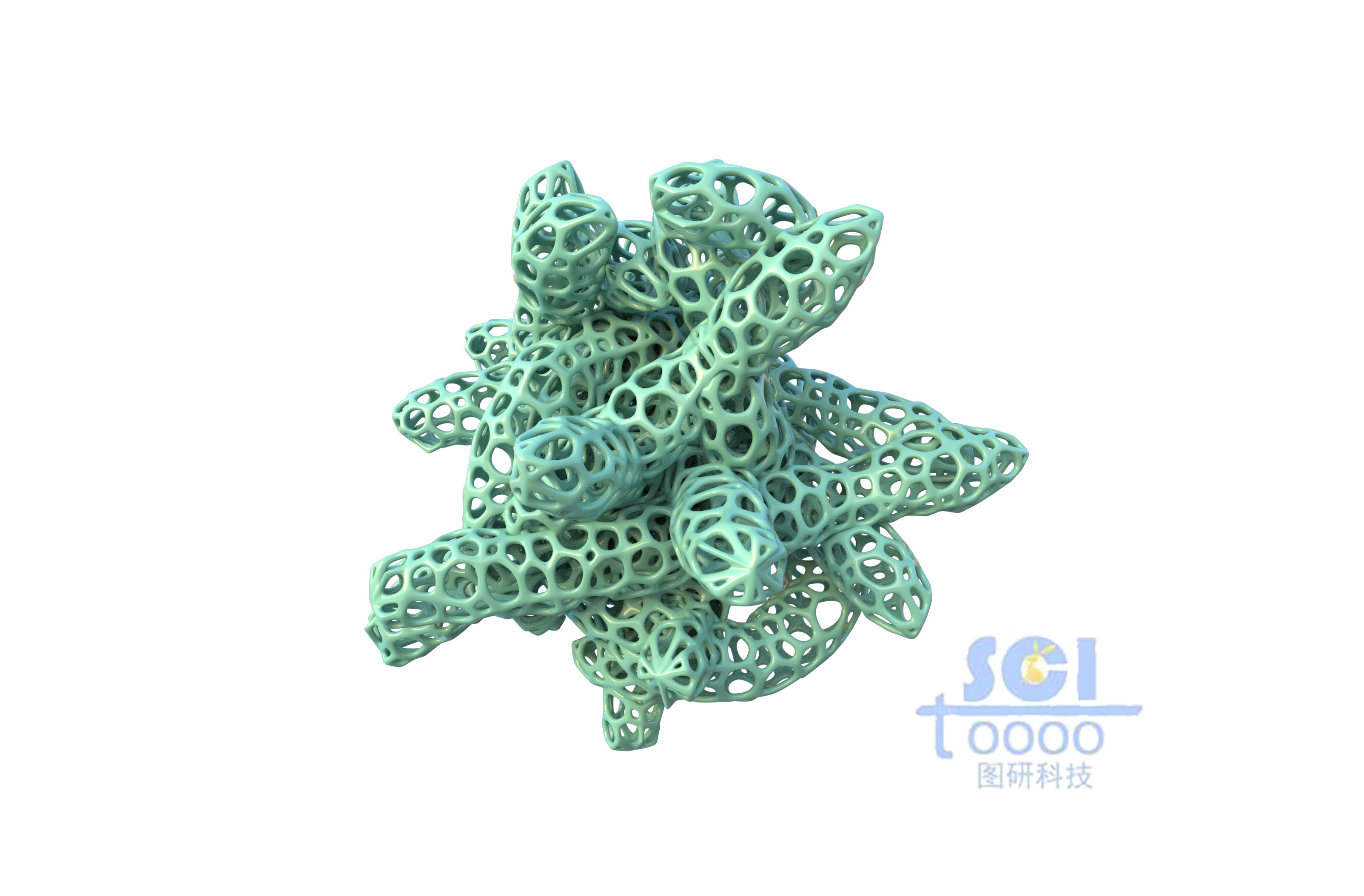 鏤空的珊瑚狀結(jié)構(gòu)