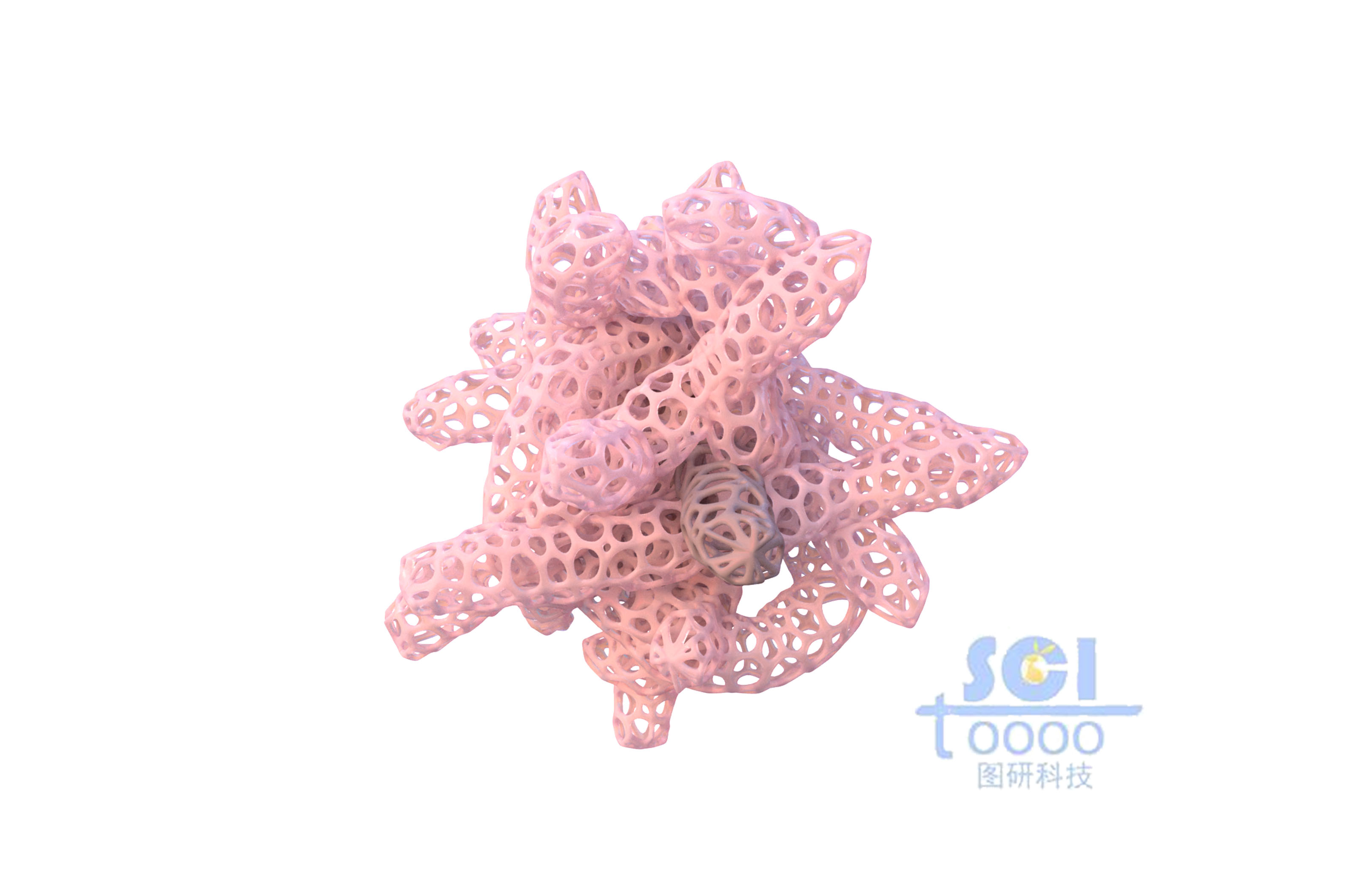 鏤空的珊瑚狀結(jié)構(gòu)