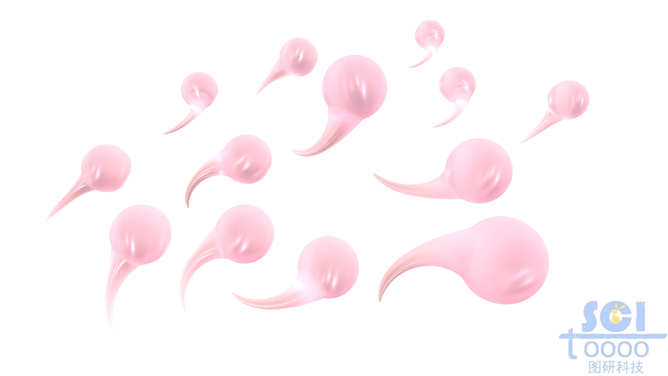 帶尾巴的細菌結構