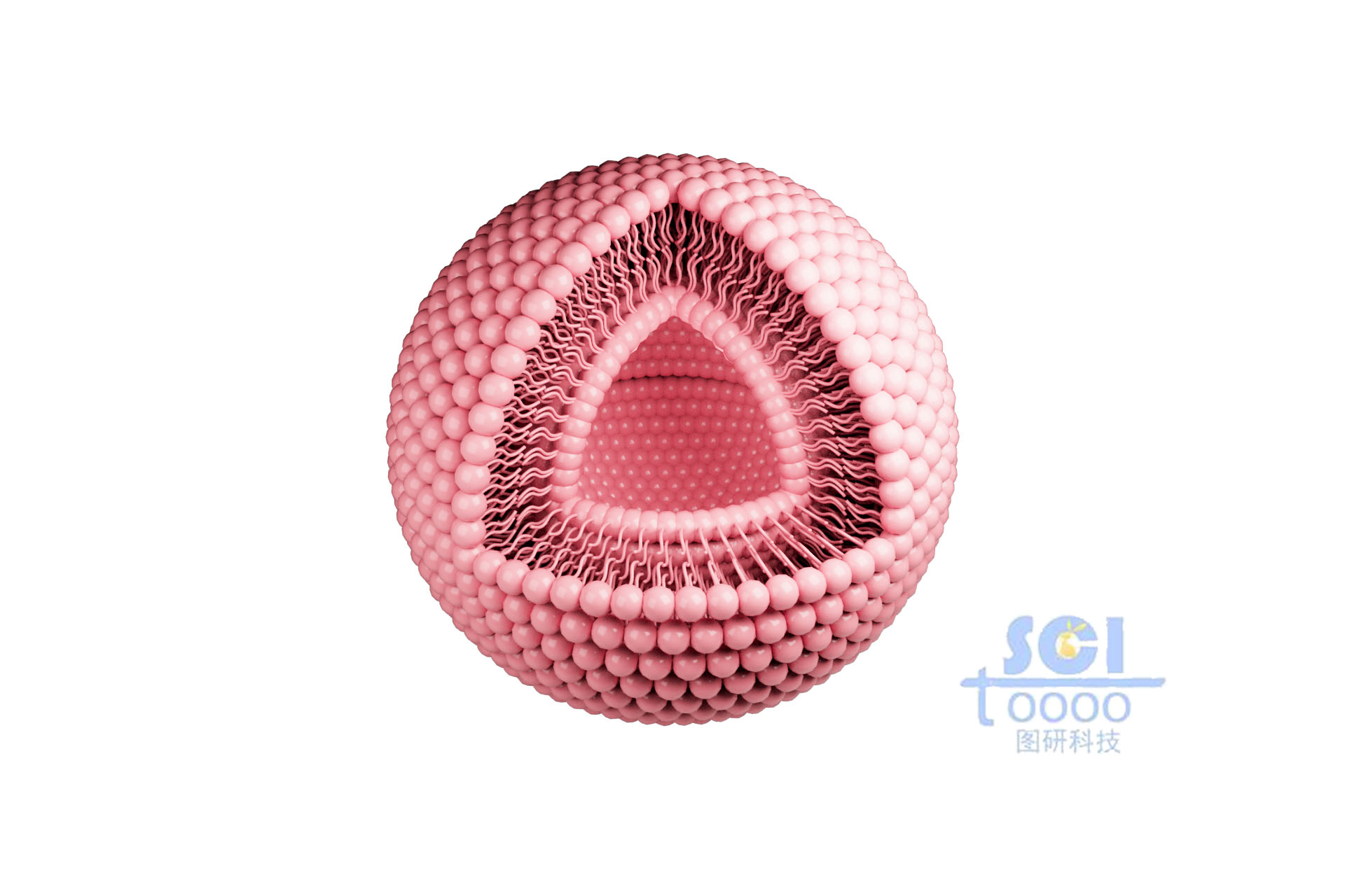 八分之一切口的空心夾層納米球