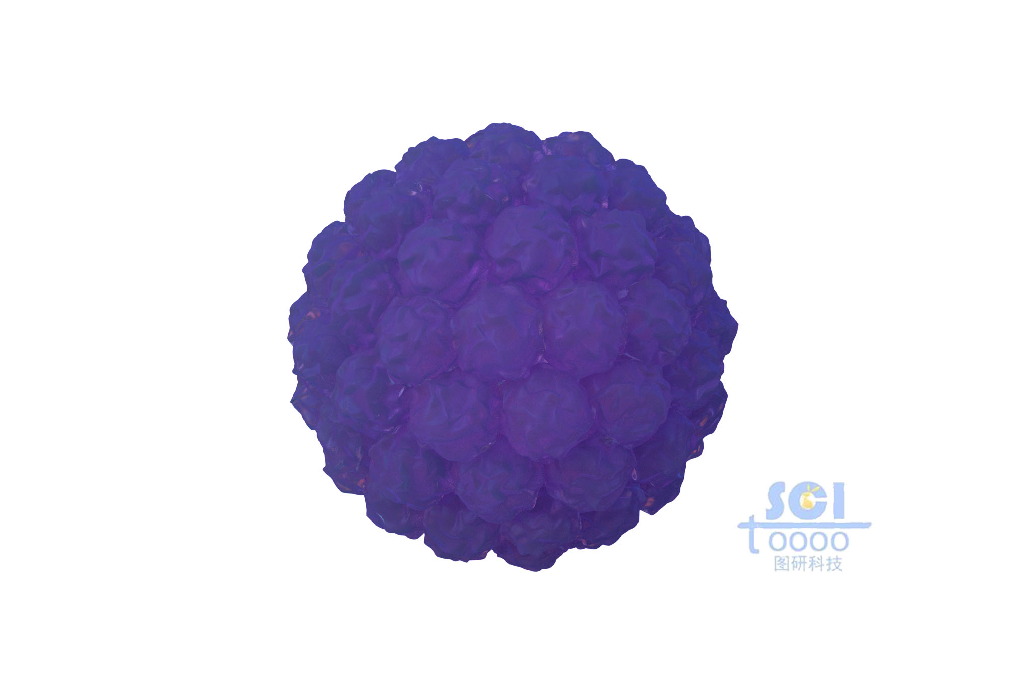 癌細(xì)胞團(tuán)簇