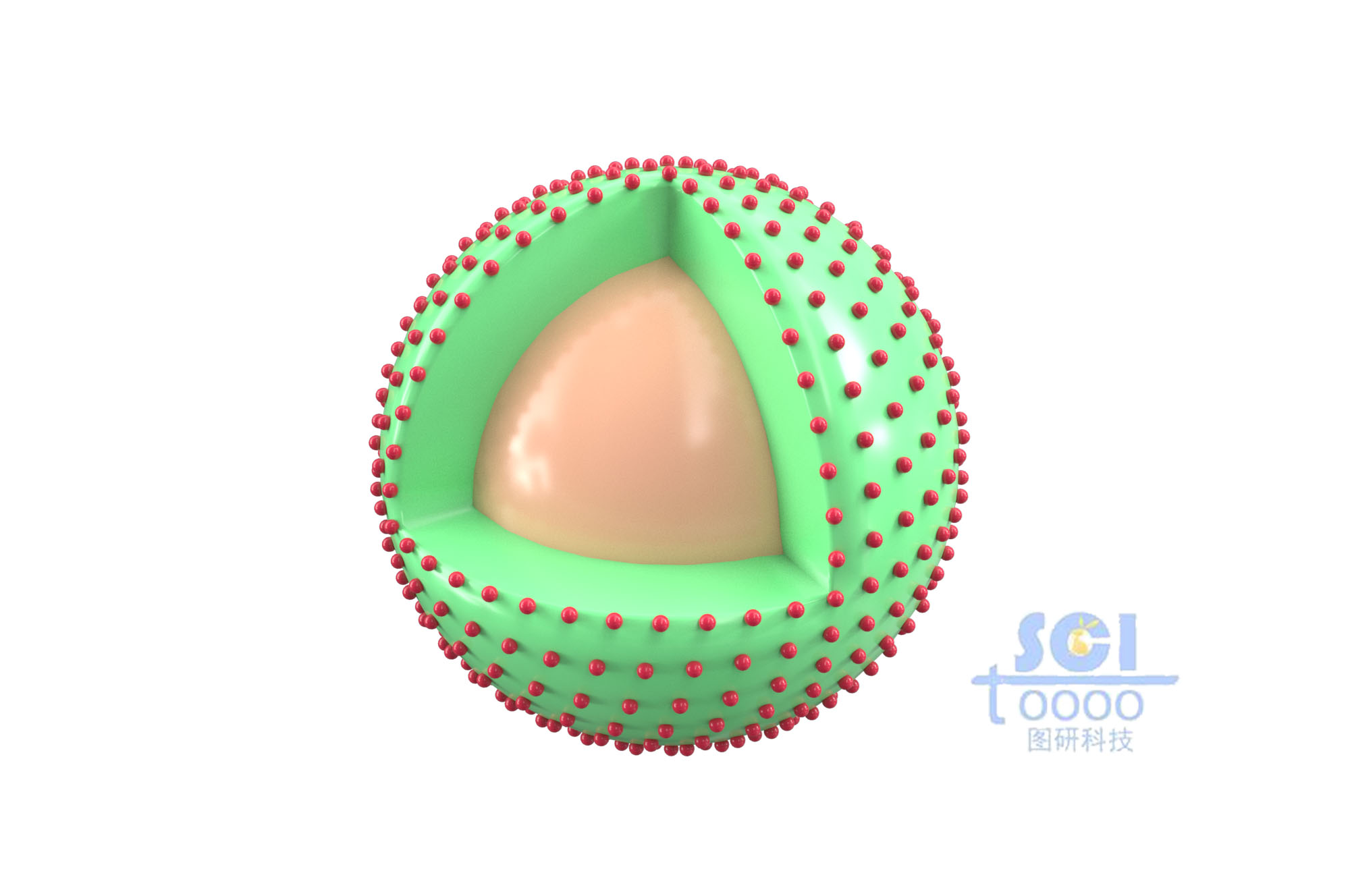表面負(fù)載顆粒的納米球