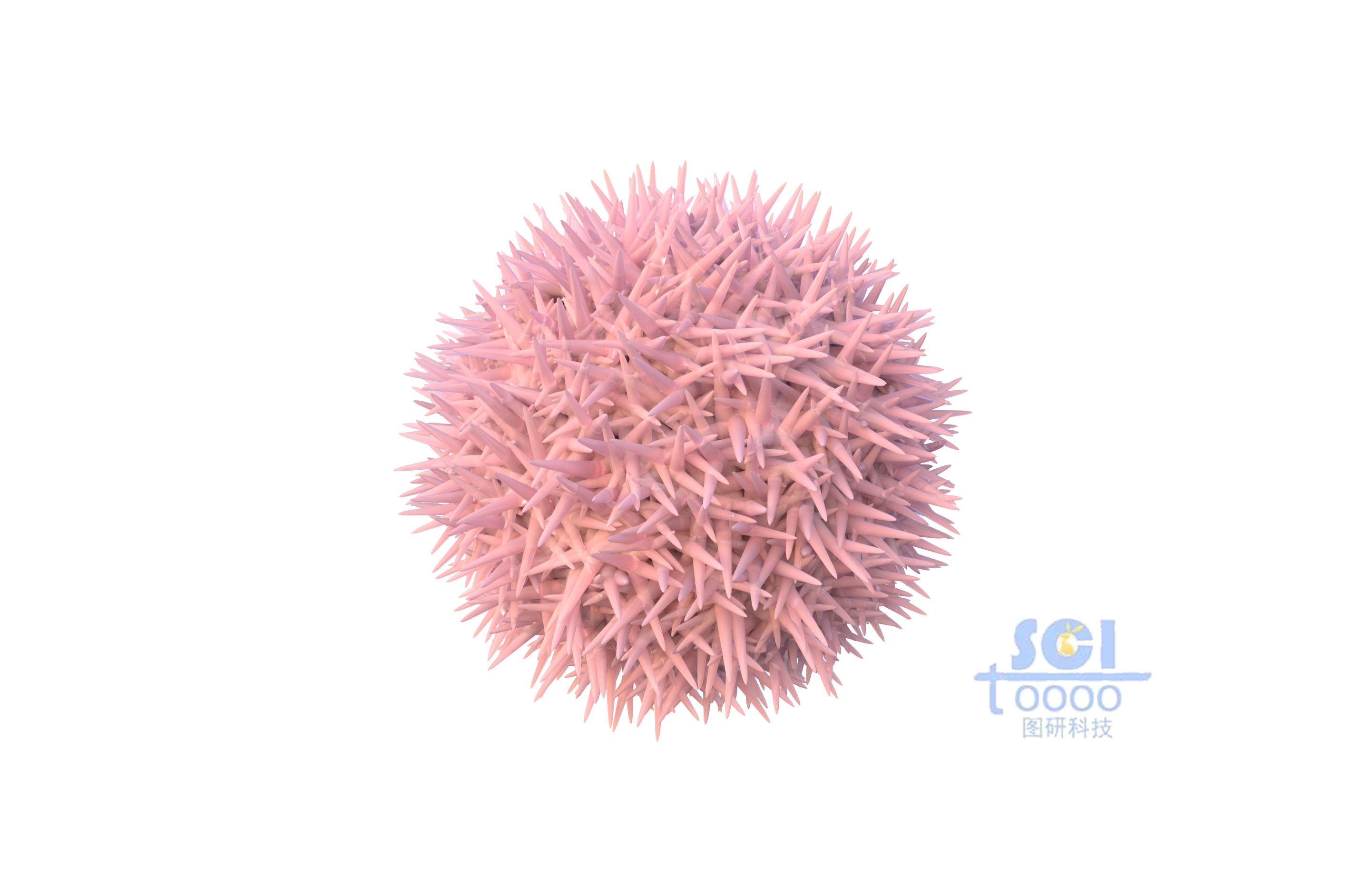 針葉狀團(tuán)簇的納米顆粒