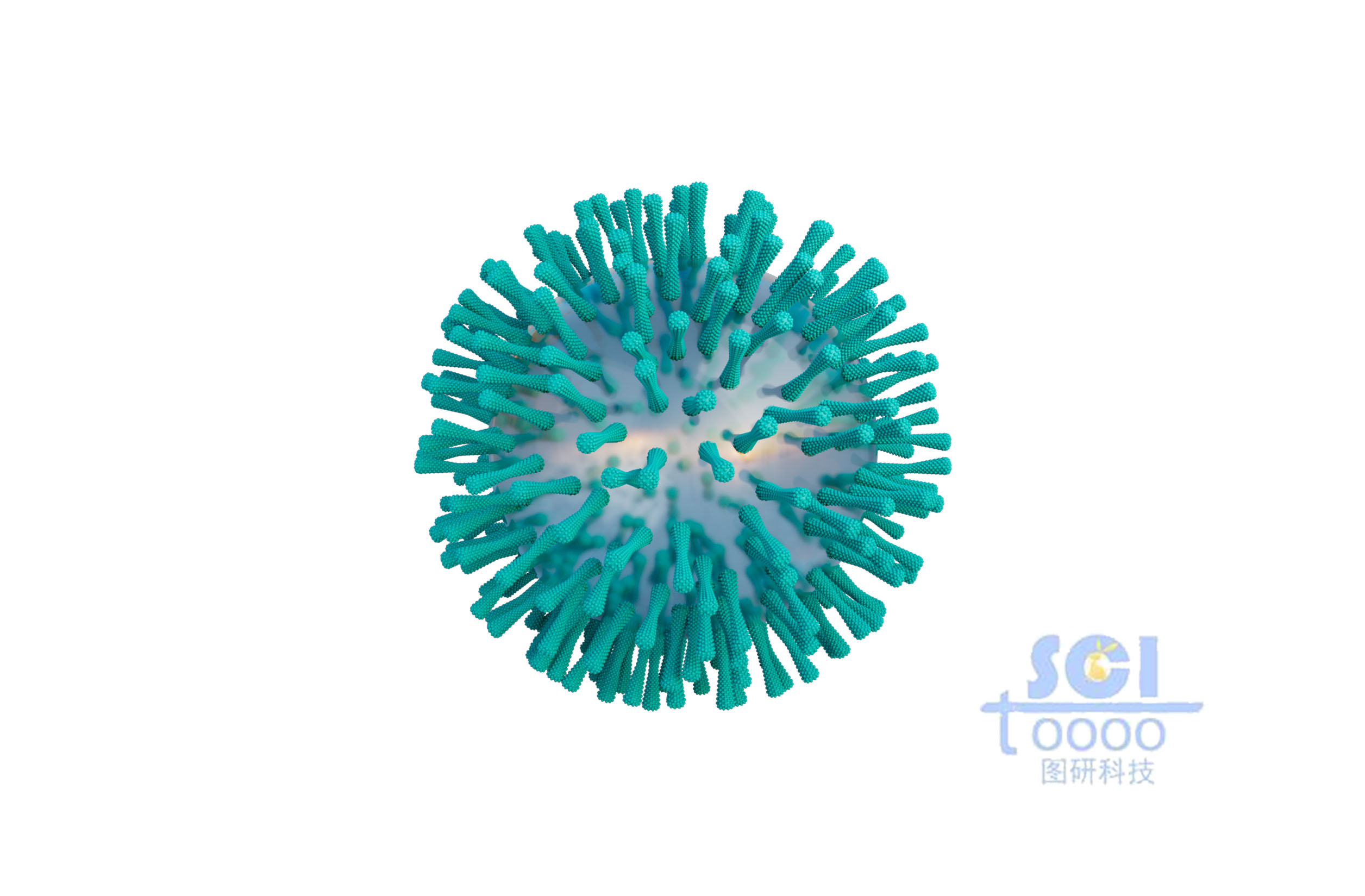 表面帶有突觸的病毒