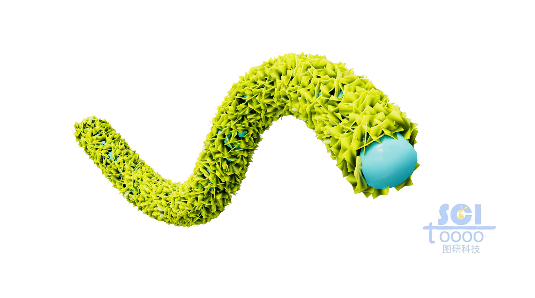 納米片分布的管道