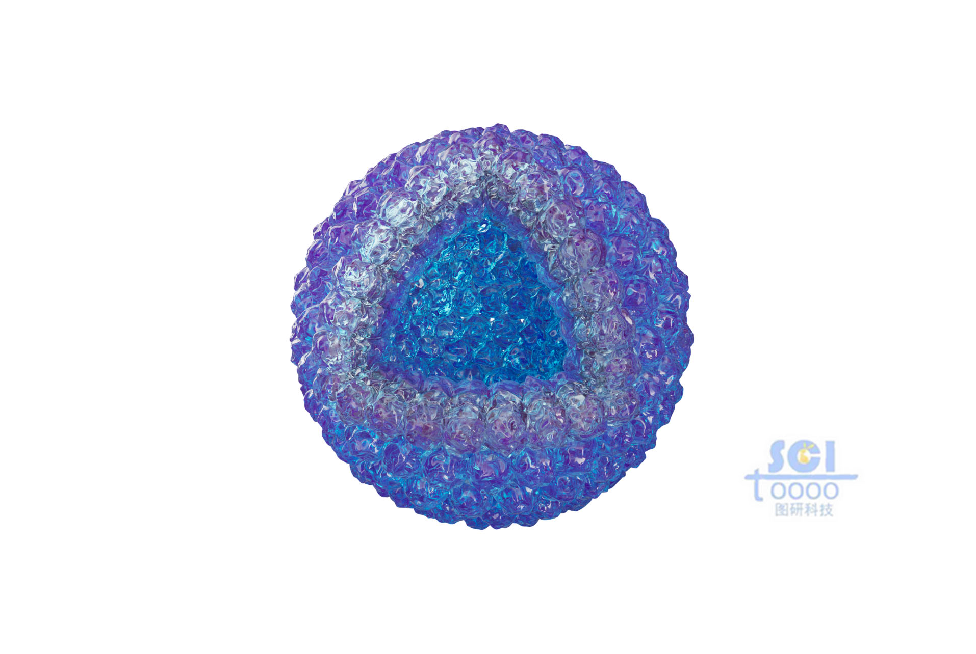 八分之一切面的癌細(xì)胞團(tuán)簇