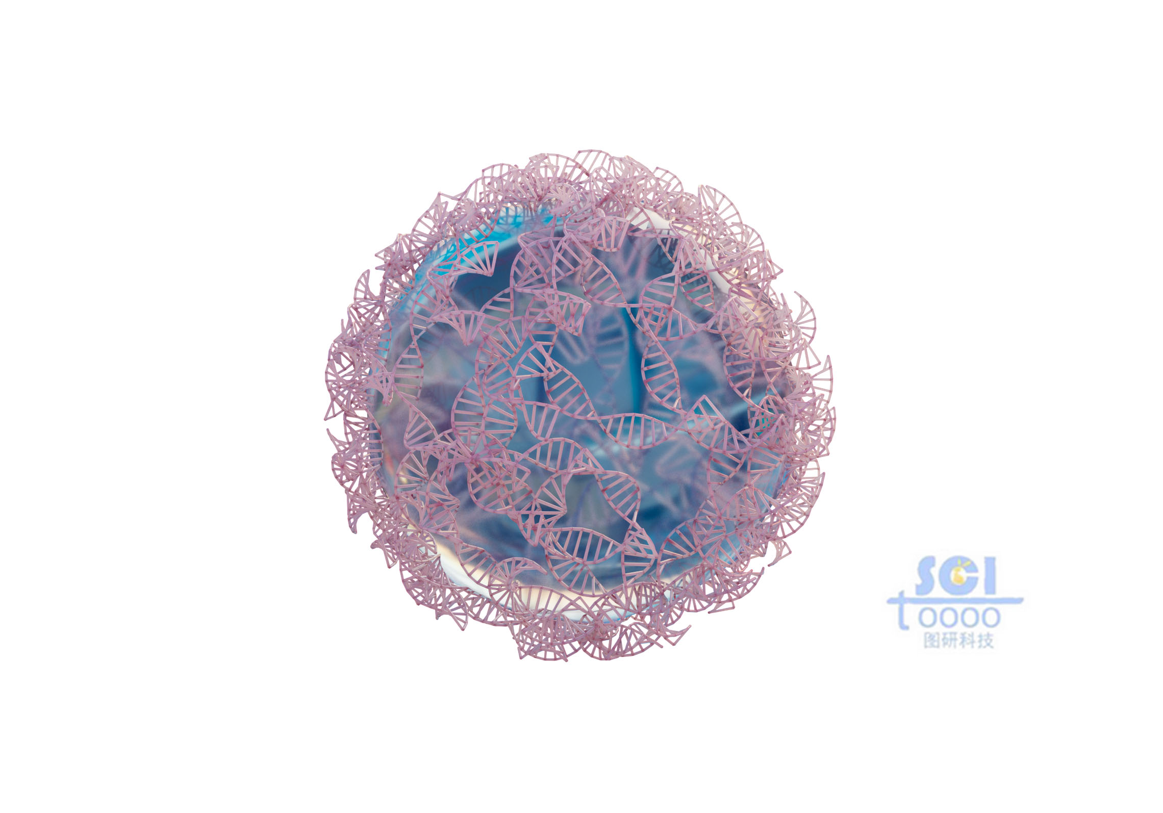 DNA鏈纏繞的納米球