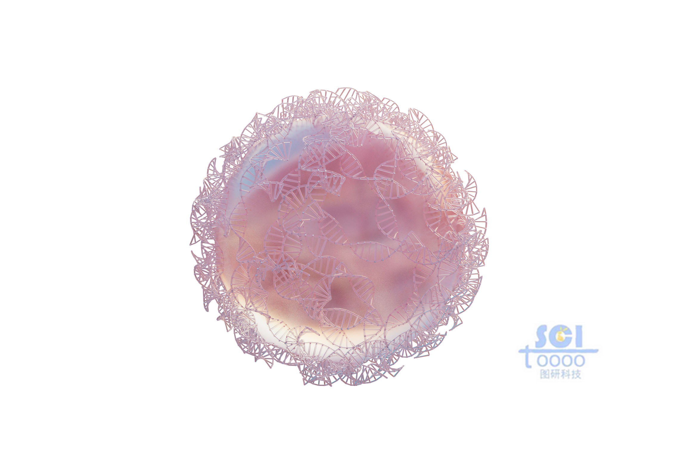 DNA鏈纏繞的納米球