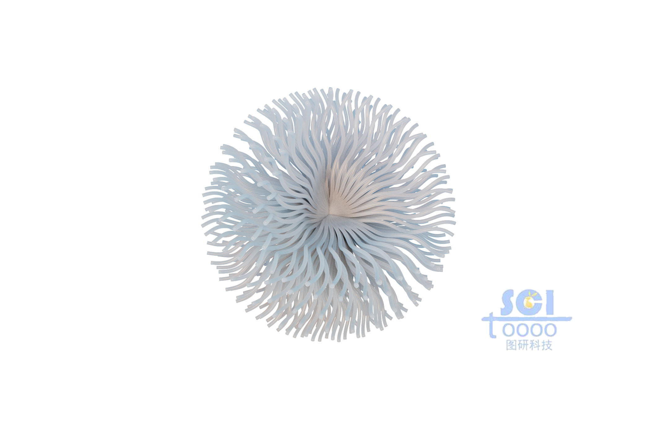 高分子鏈段向心聚合形成的納米藥物球