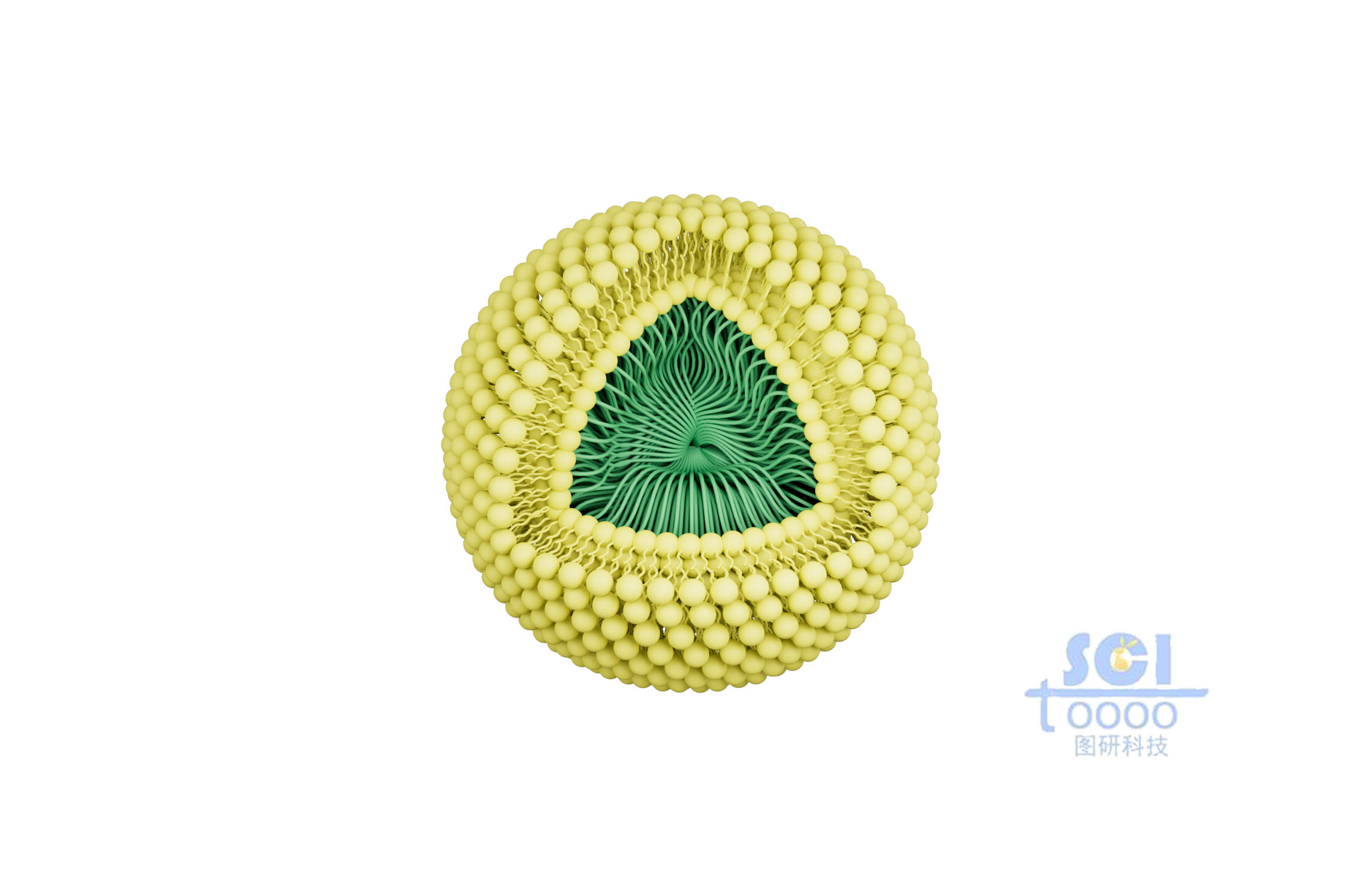 帶有磷脂雙分子層的納米藥物