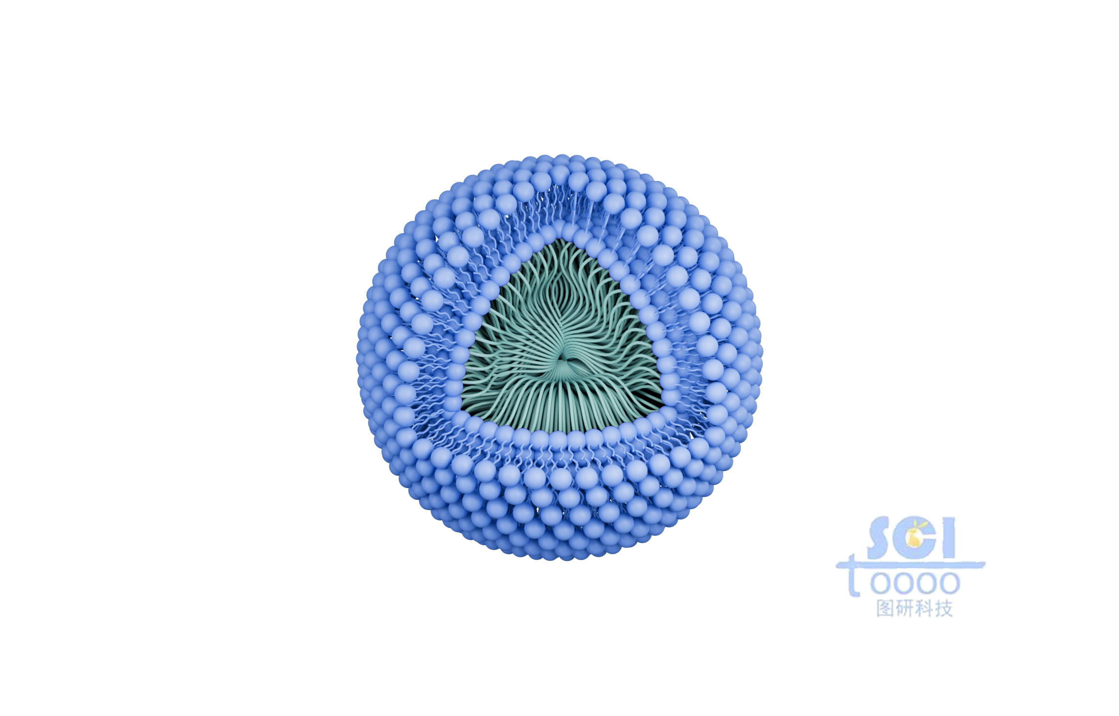 帶有磷脂雙分子層的納米藥物