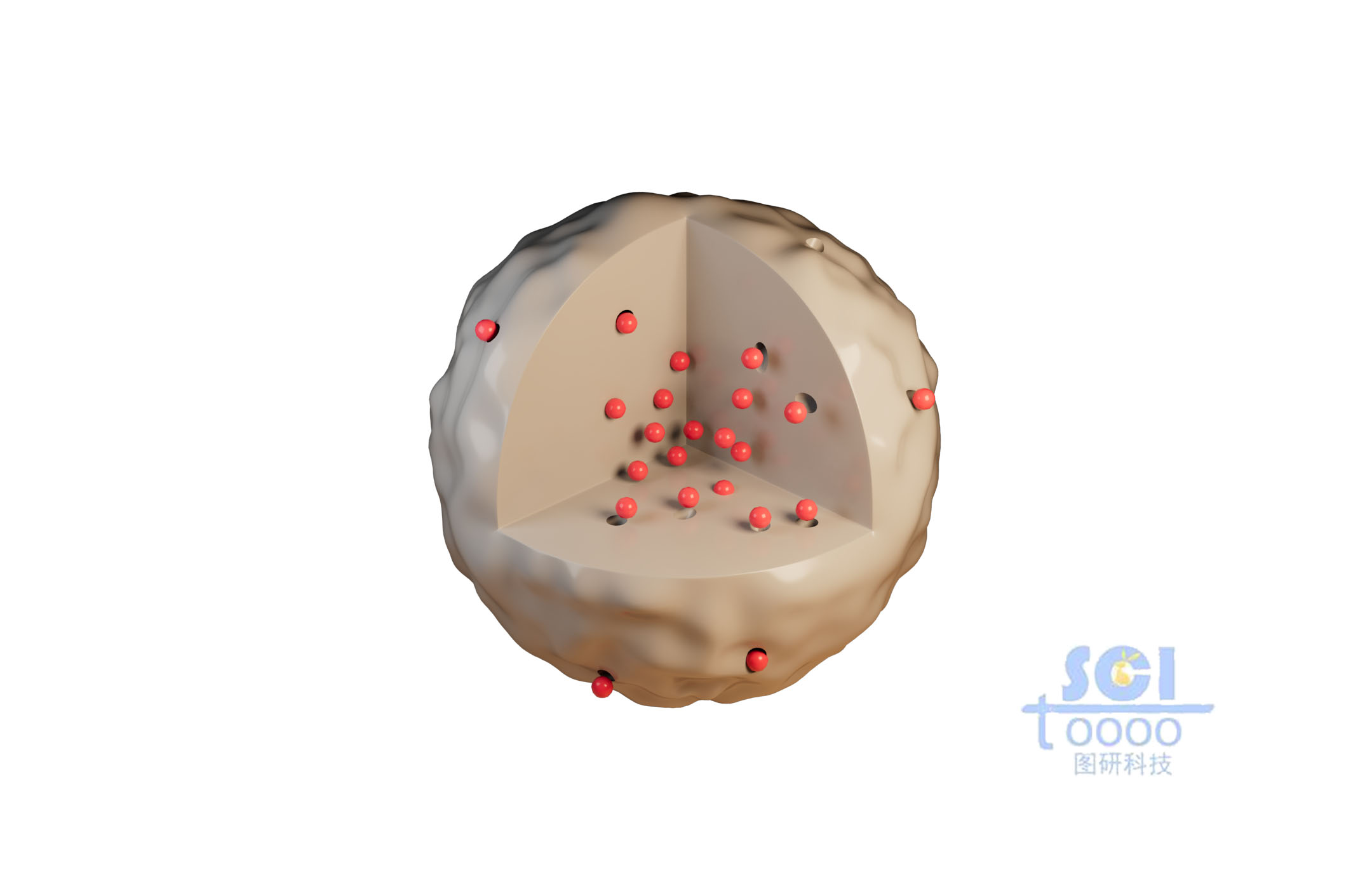 負載顆粒的八分之一切口的納米球
