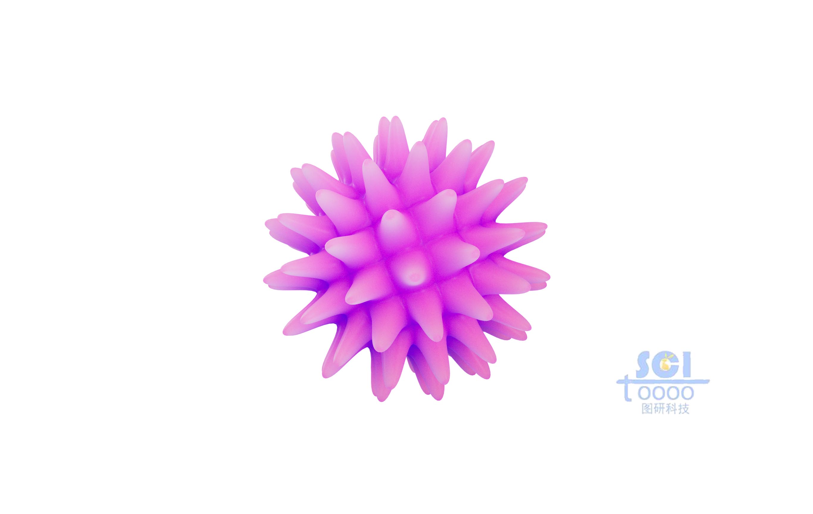 細(xì)菌結(jié)構(gòu)