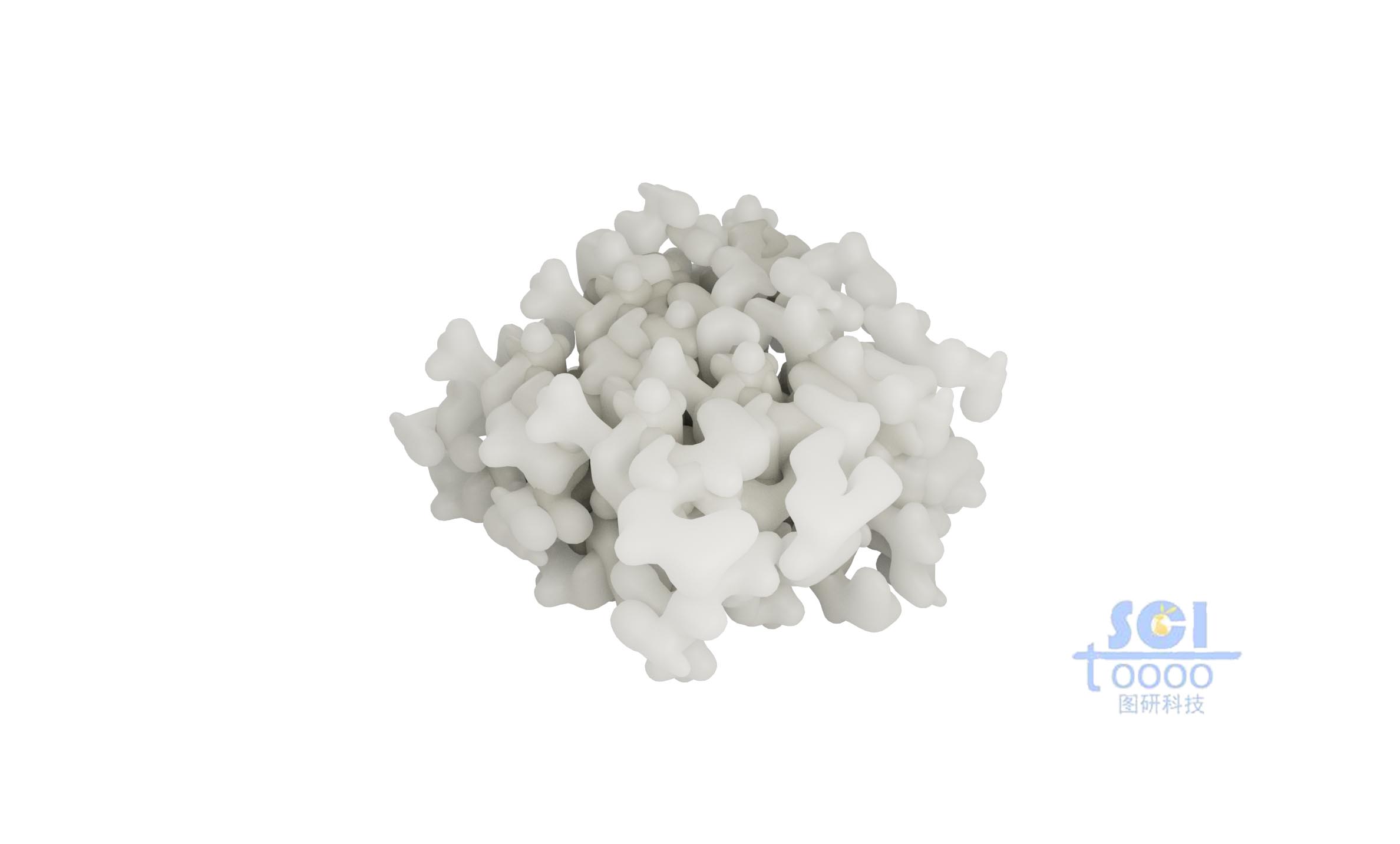 骨架結(jié)構(gòu)