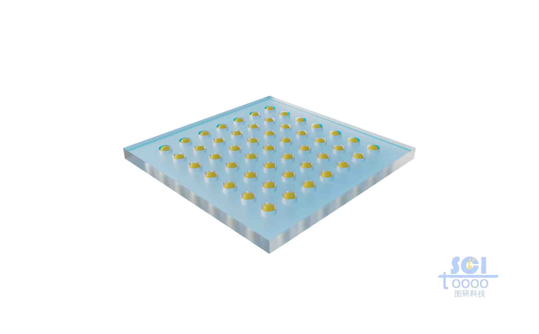 孔洞分布細(xì)胞的多孔結(jié)構(gòu)