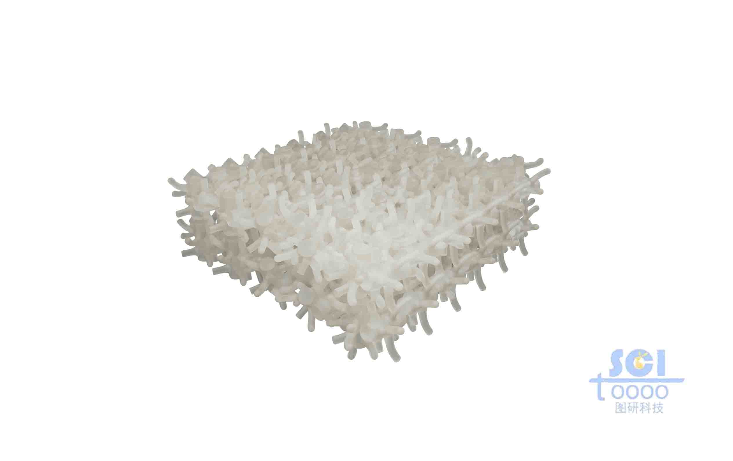 多孔骨架結(jié)構(gòu)