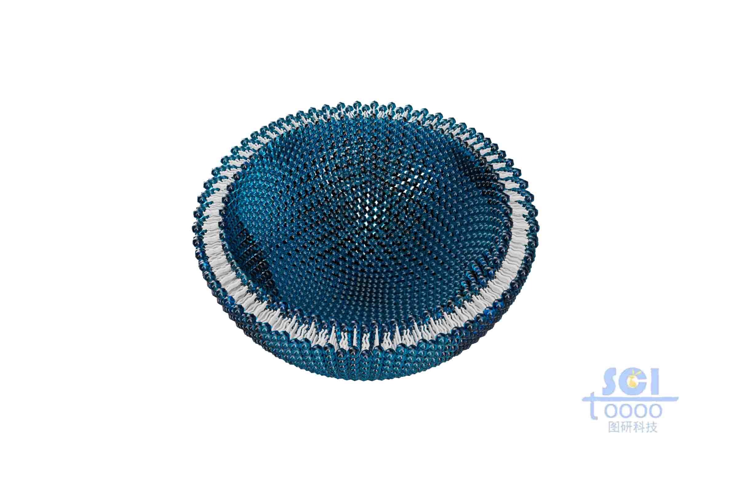 二分之一切面的磷脂雙分子層