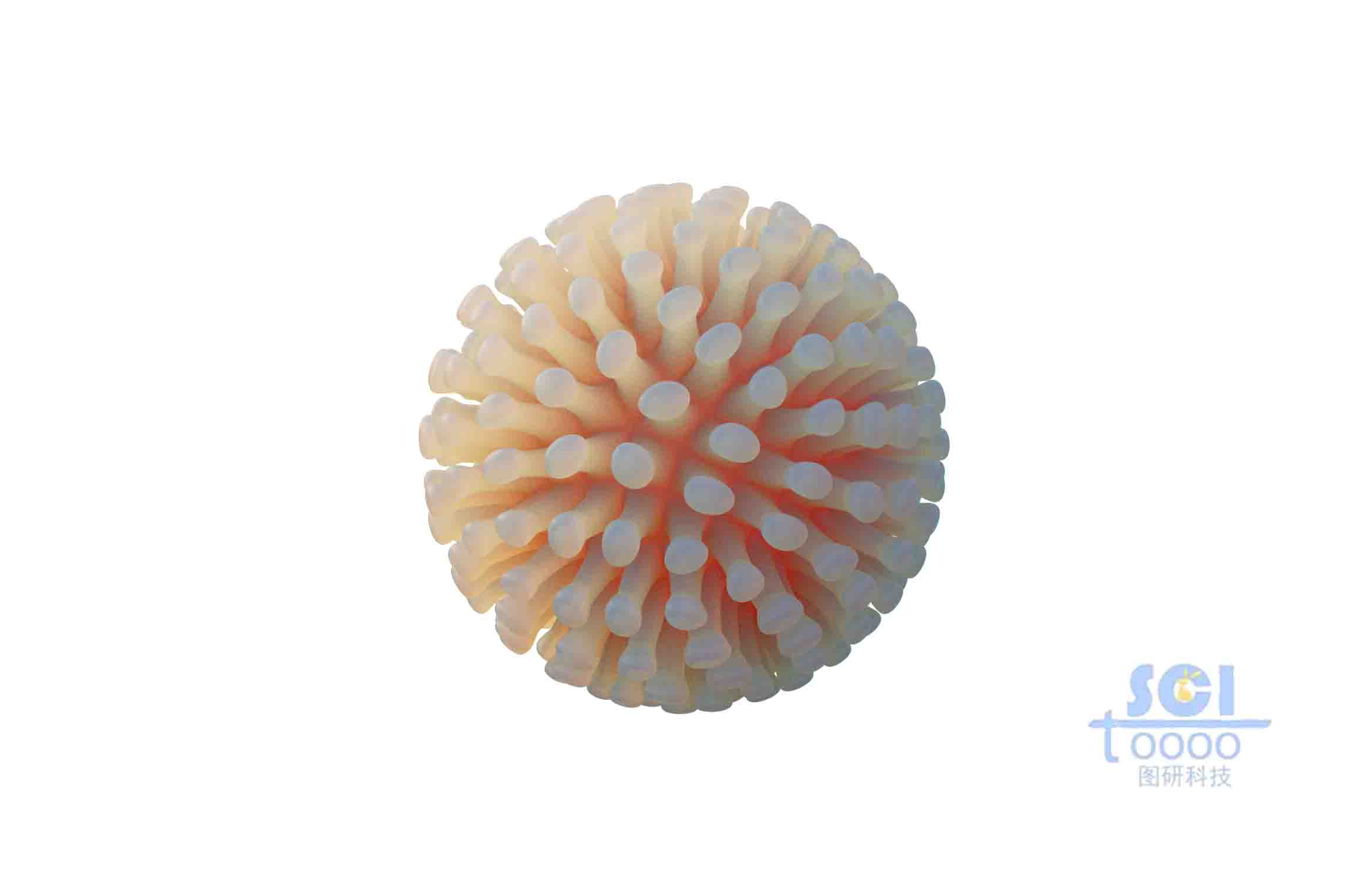 帶觸角的細(xì)菌球