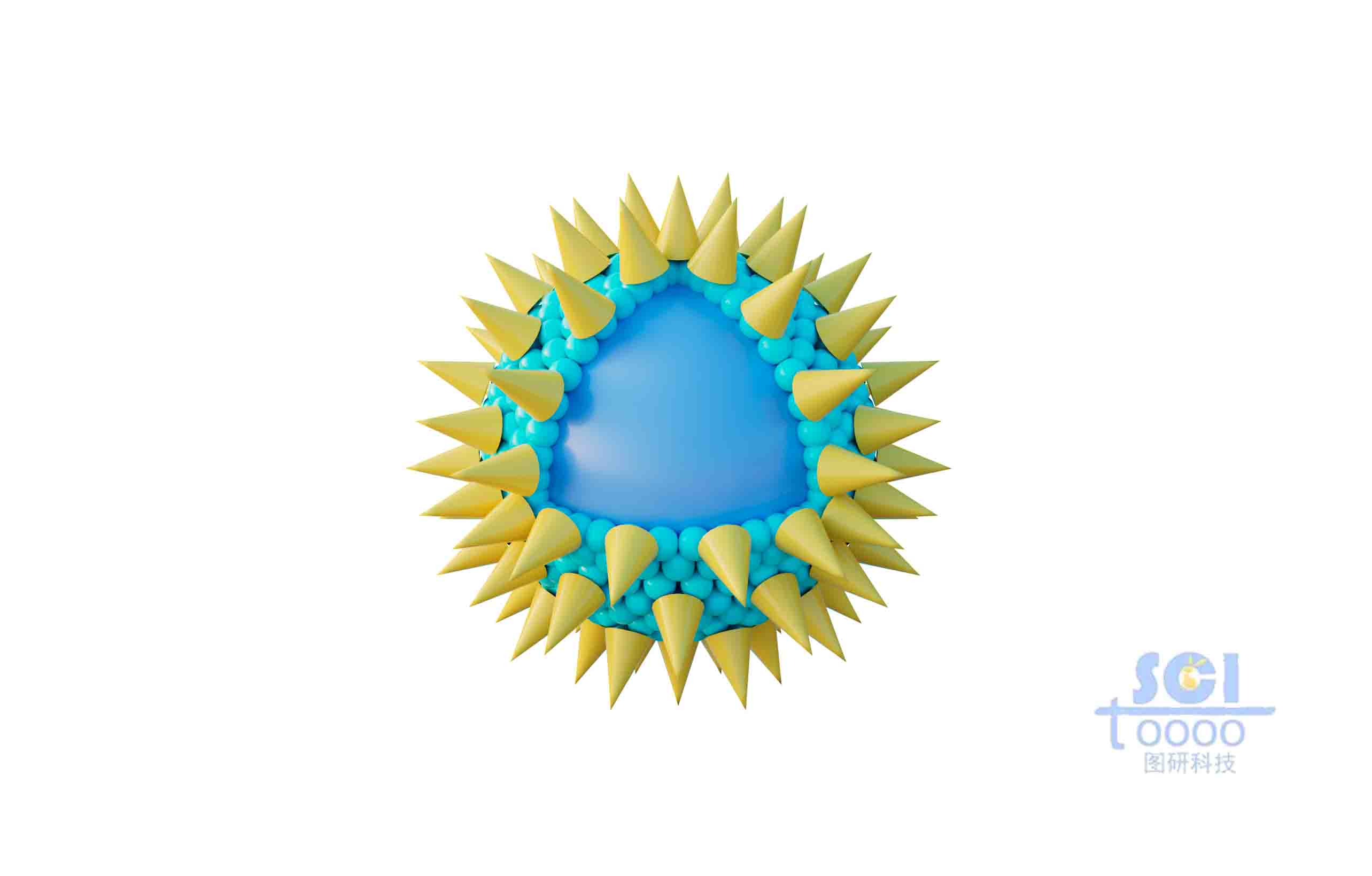 表面有錐形高分子結(jié)構(gòu)粘附的實心球