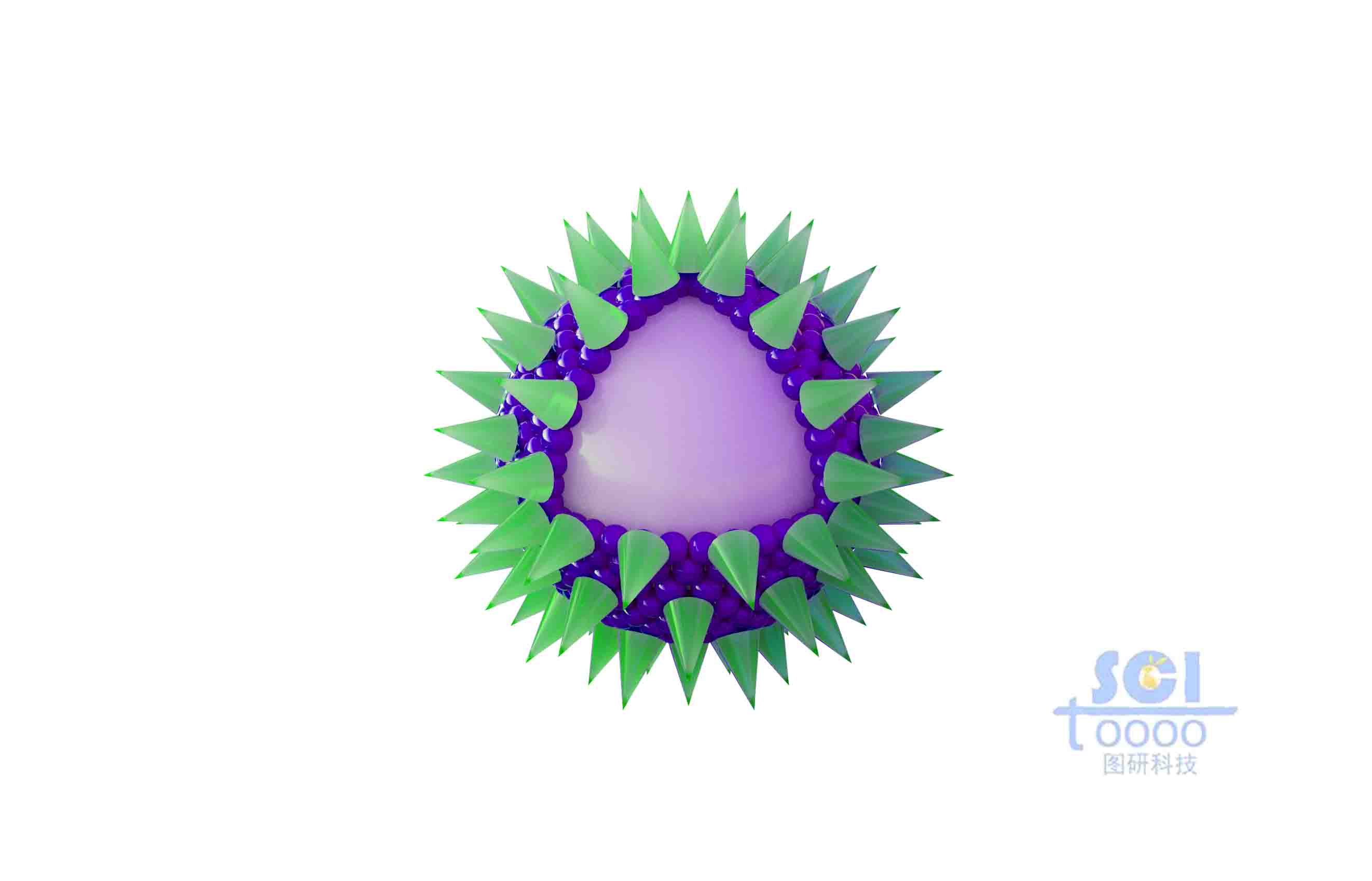 表面有錐形高分子結(jié)構(gòu)粘附的實心球