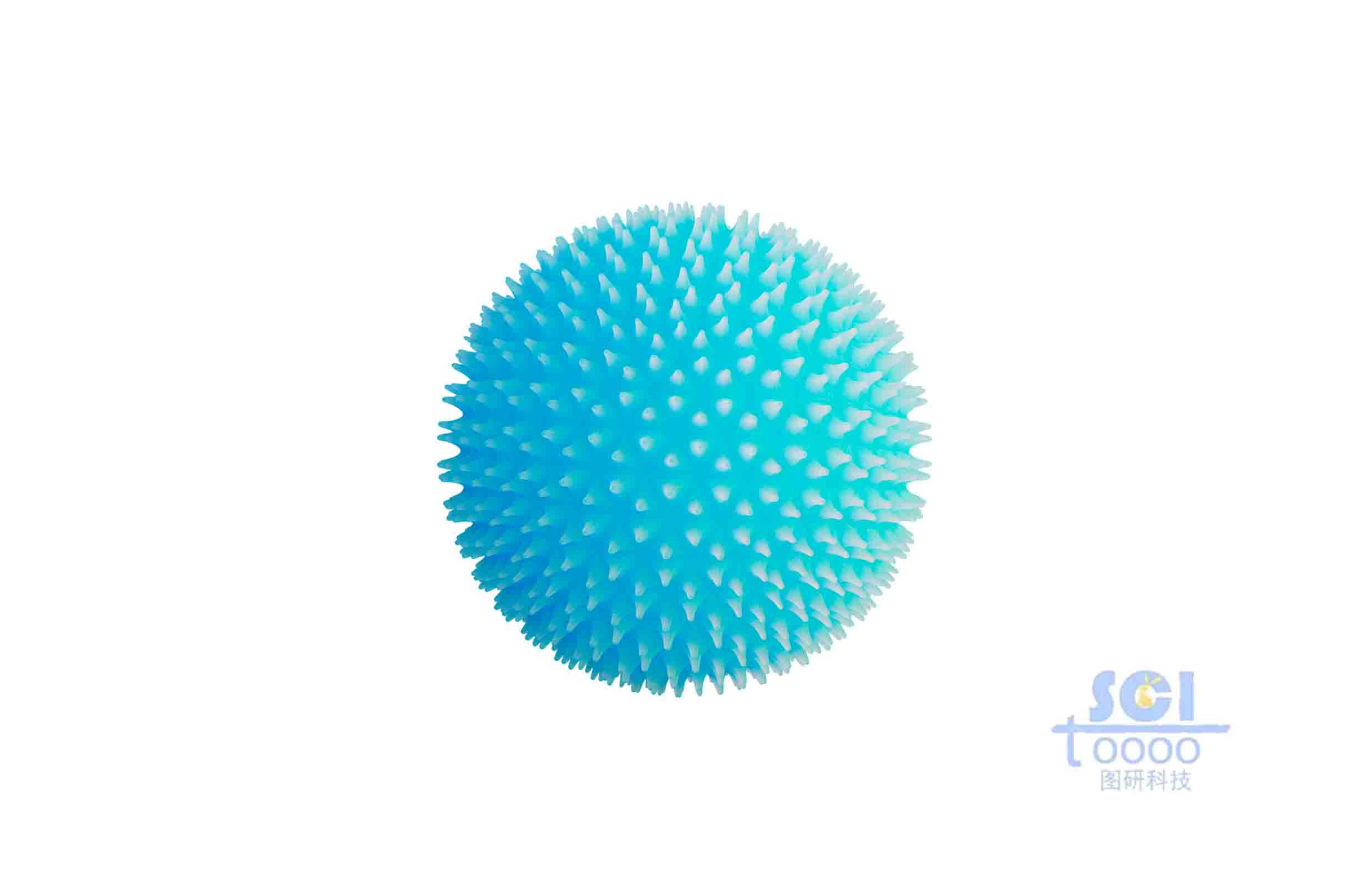 病毒結(jié)構(gòu)