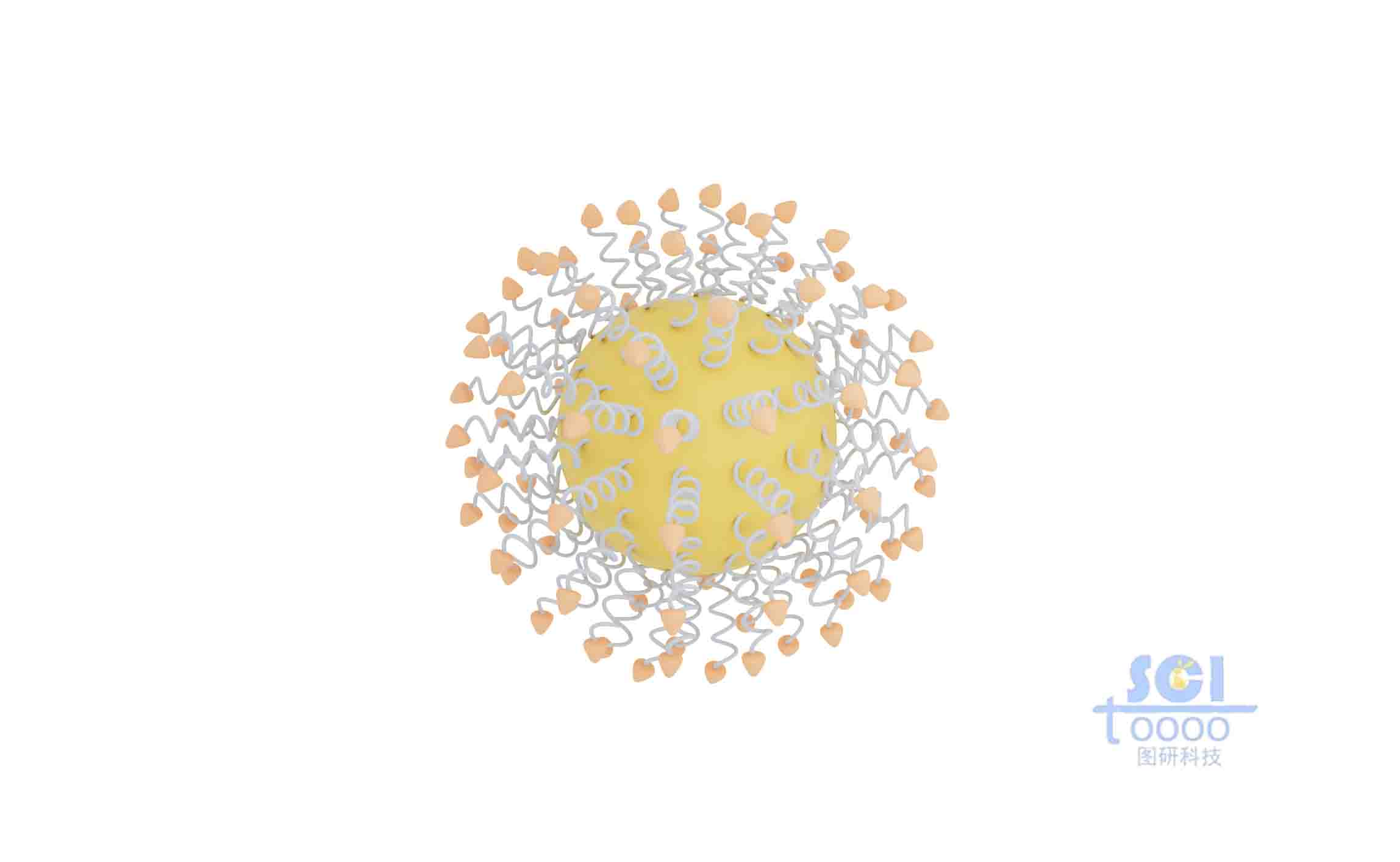 帶有靶向的納米球