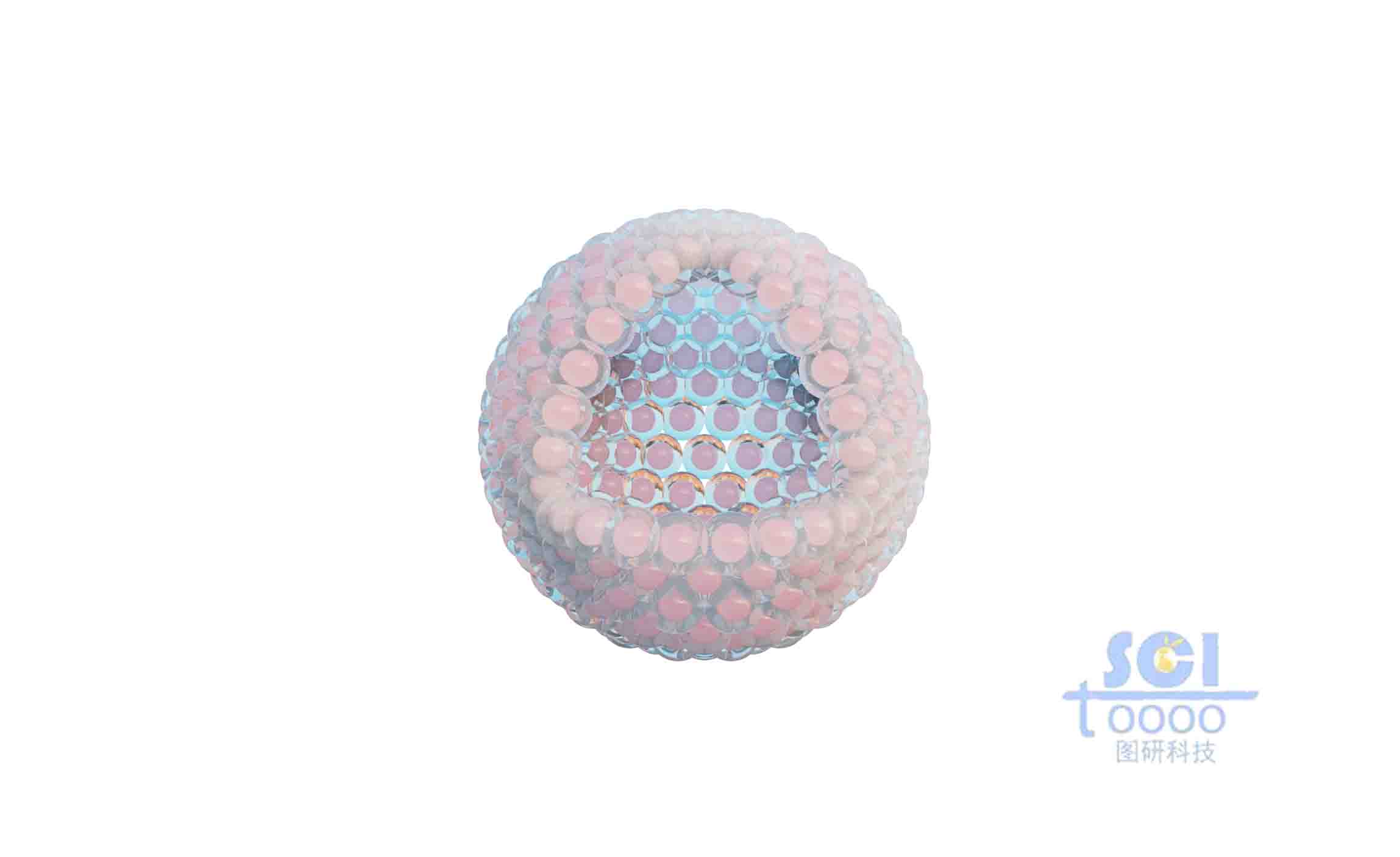 空腔的腫瘤細(xì)胞