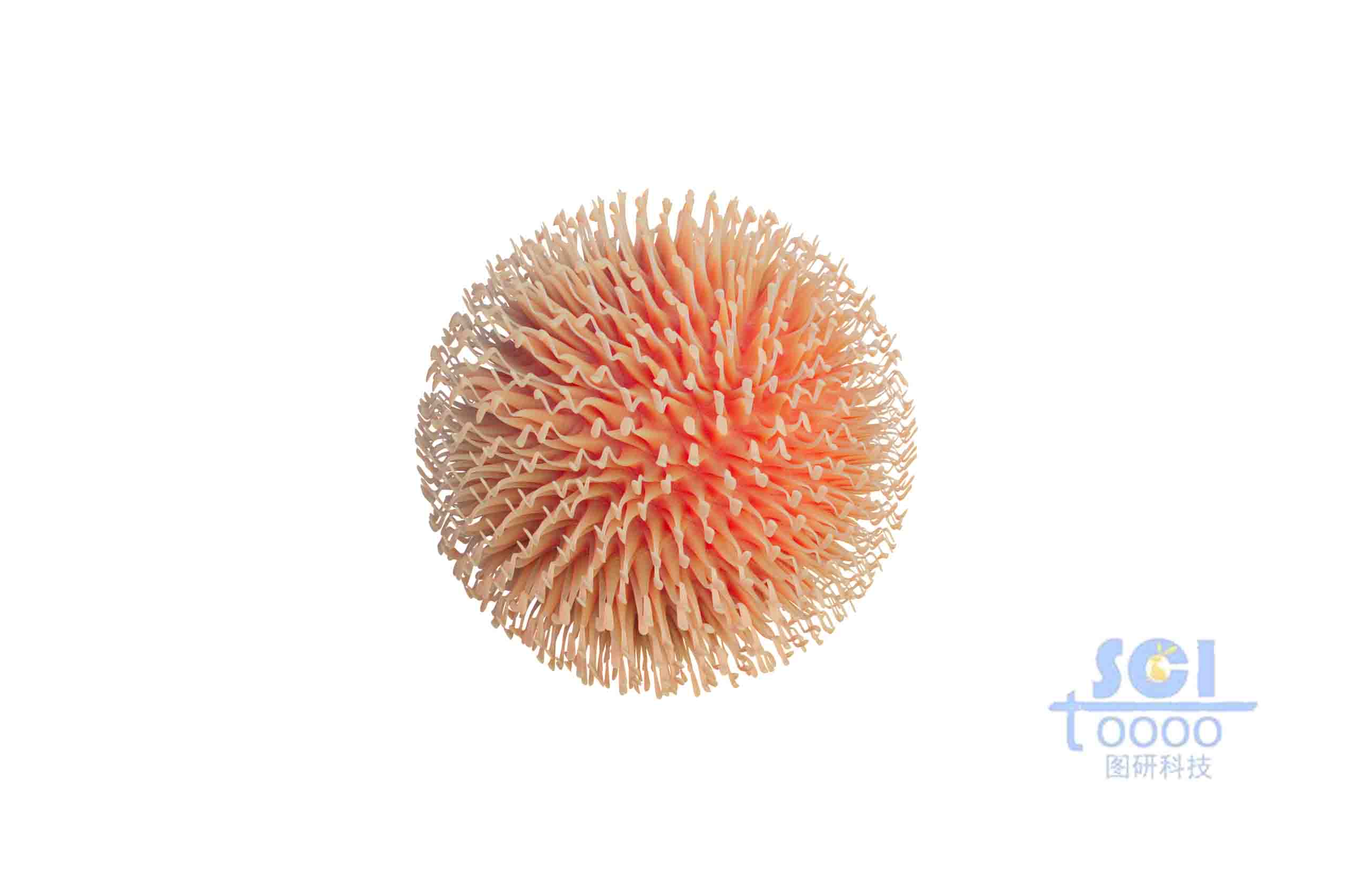 帶長觸角的病毒細(xì)胞