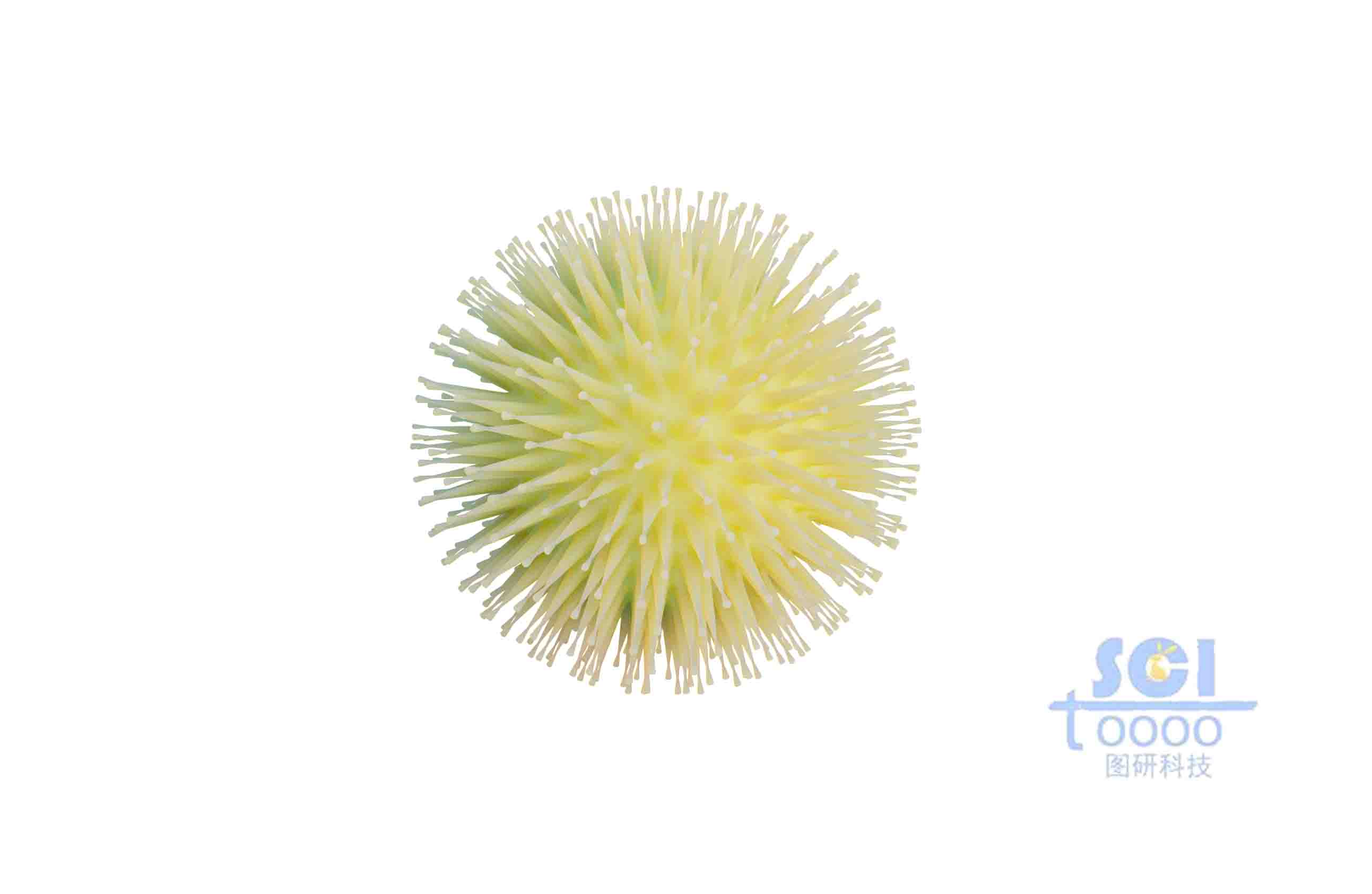 帶長觸角的病毒細(xì)胞