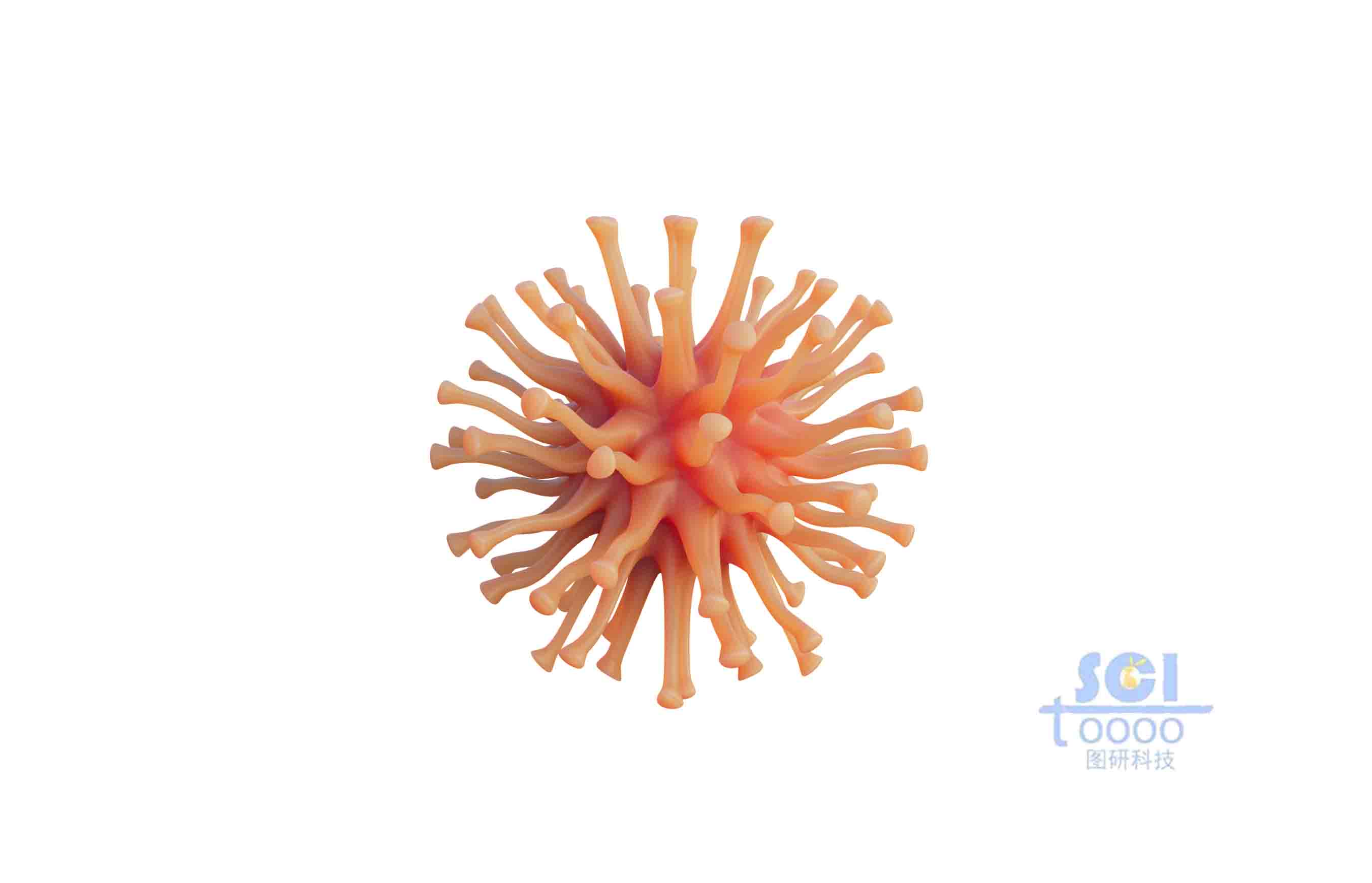 單體神經元細胞