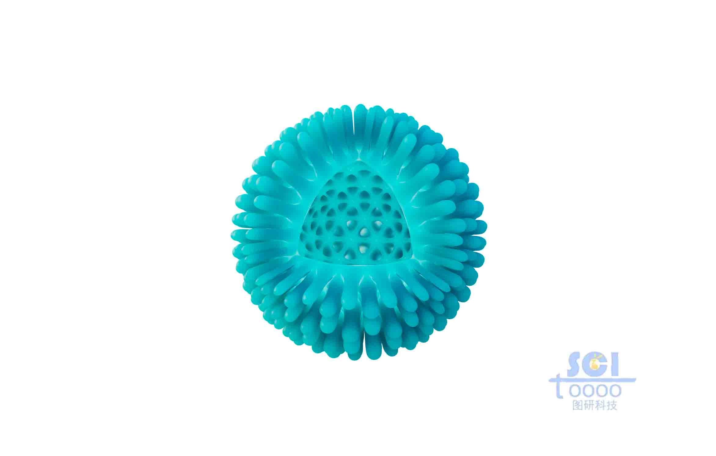 八分之一切口的病毒結(jié)構(gòu)