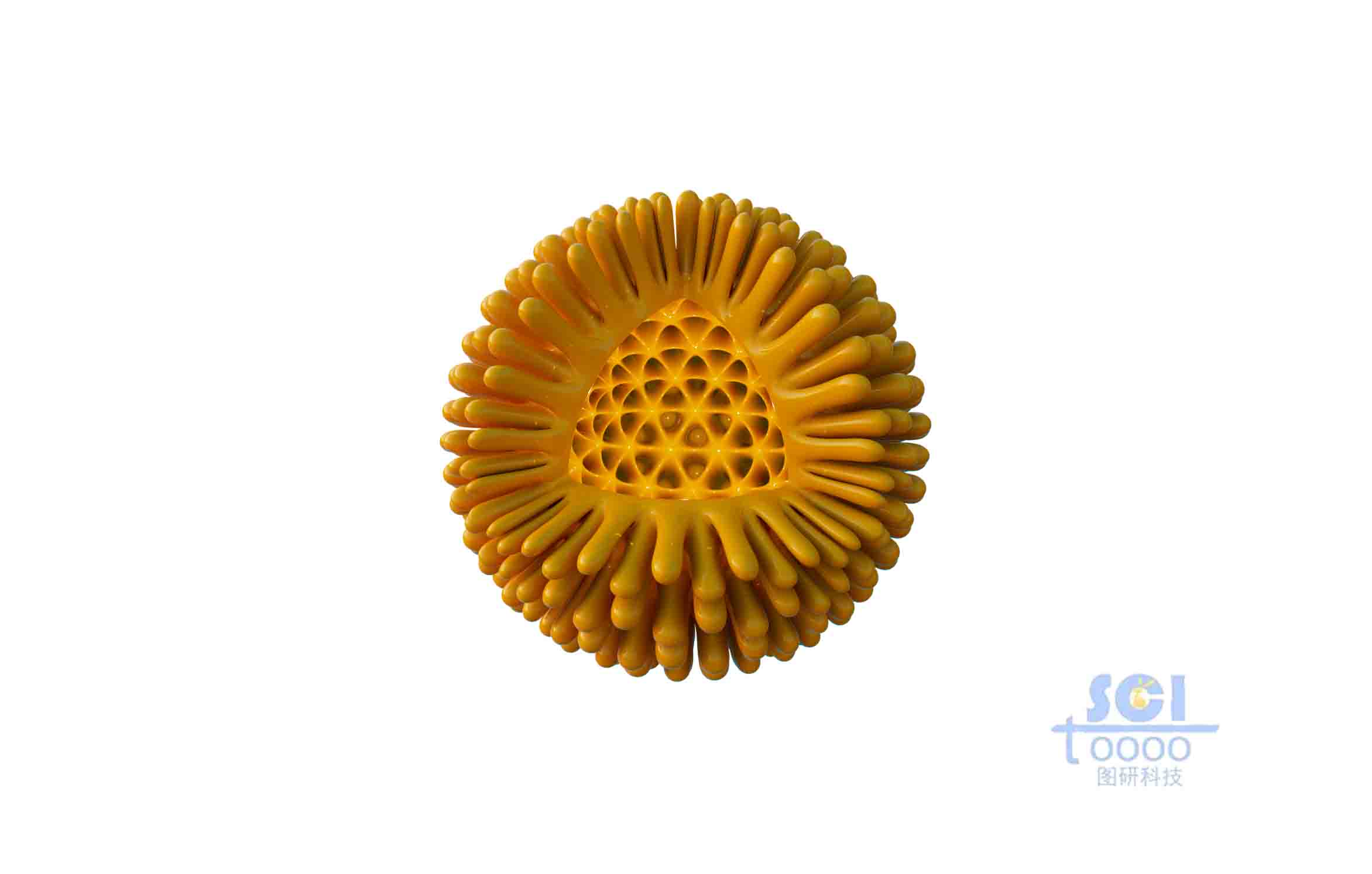 八分之一切口的病毒結(jié)構(gòu)